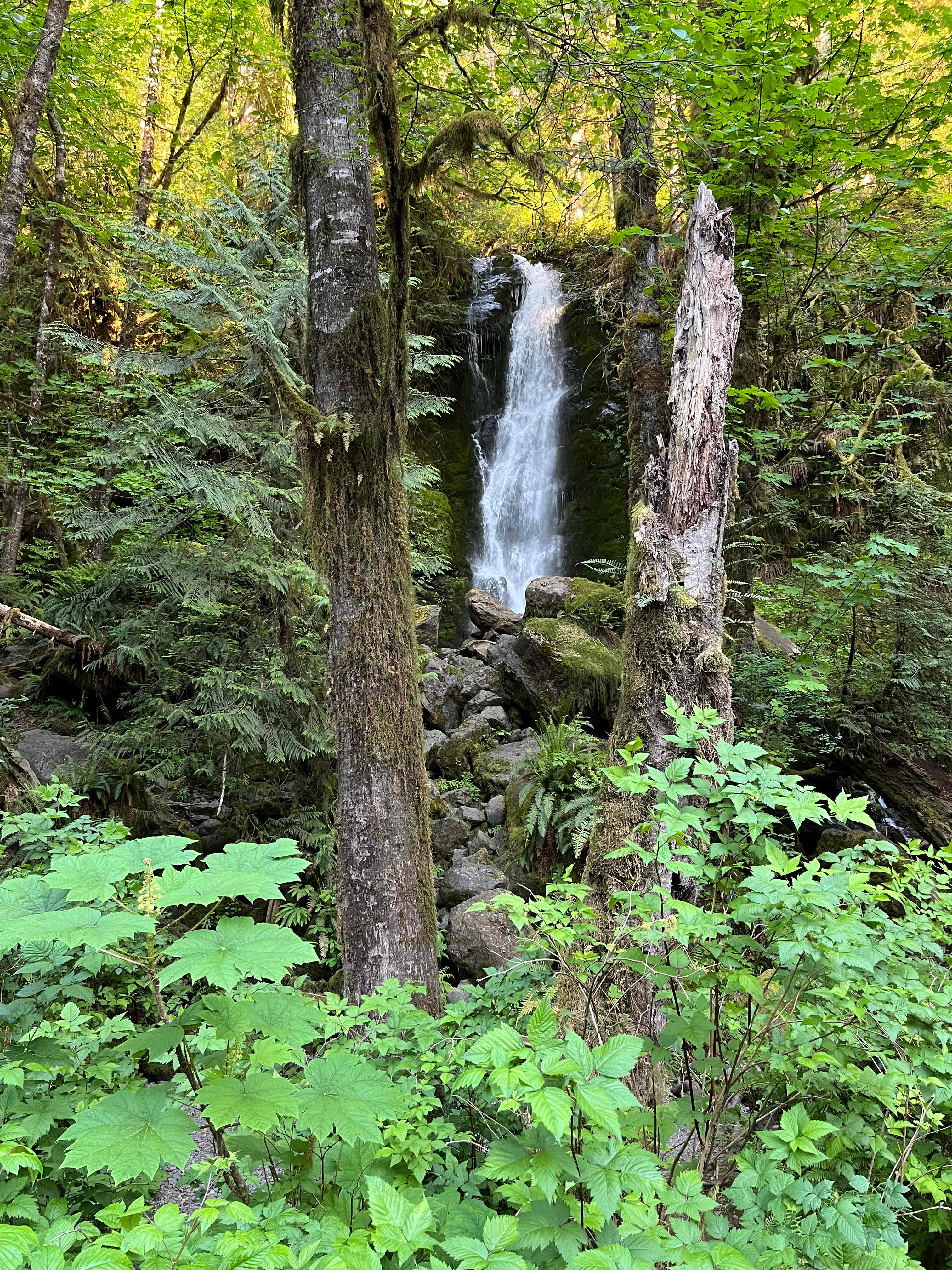Merriman Falls