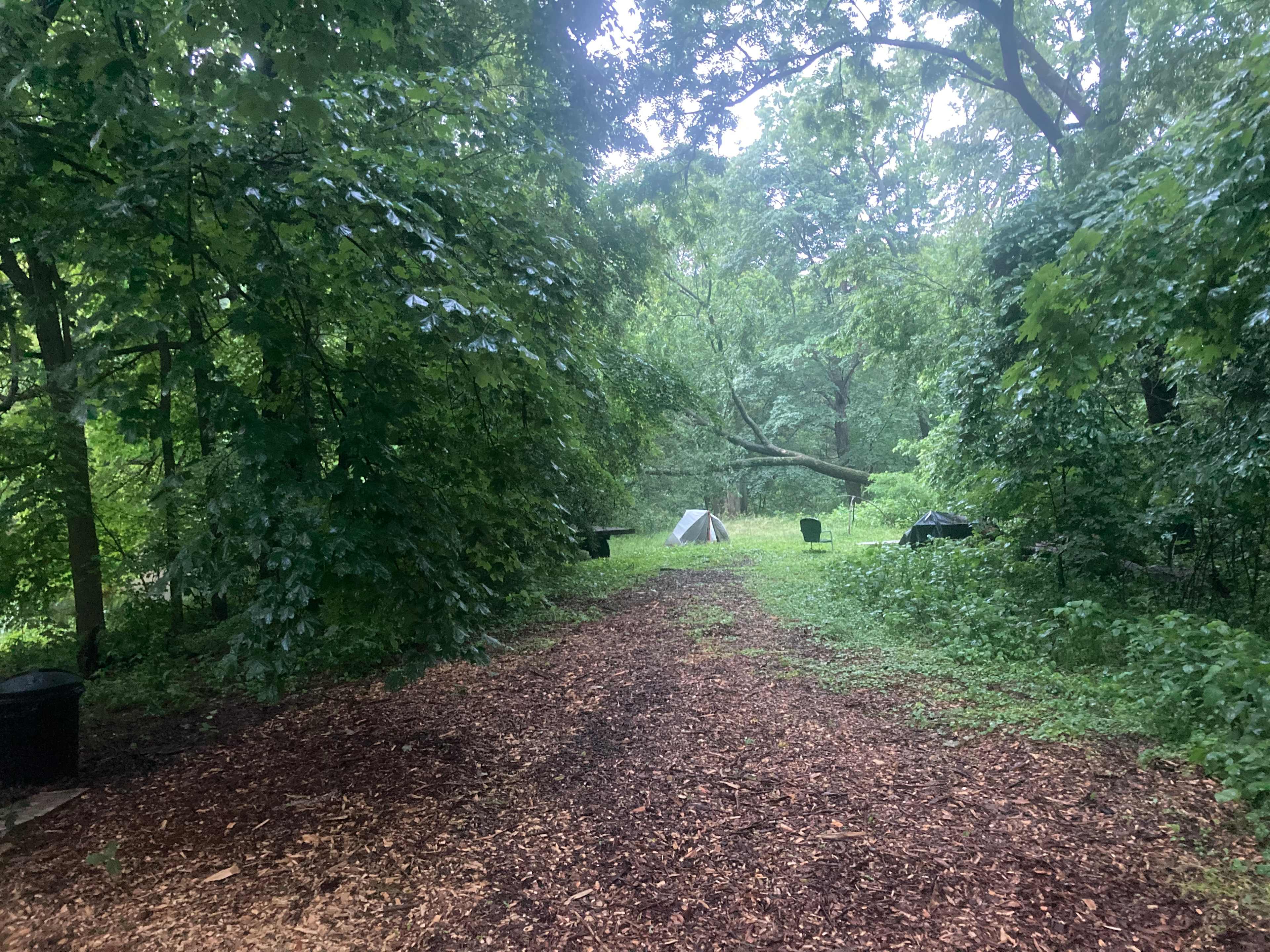 15 Acre Wood on Lake