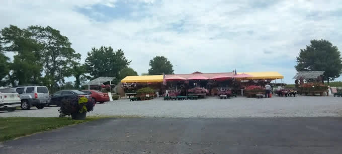 McCann Campground