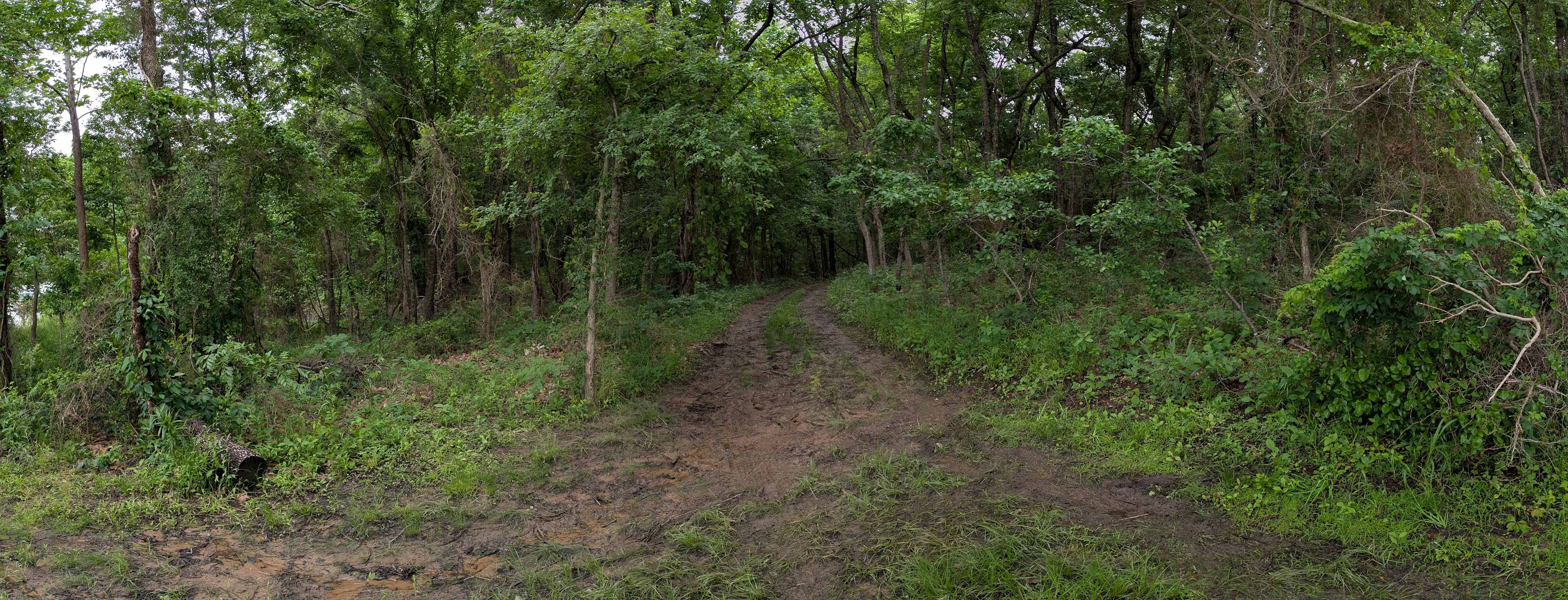Hickman Hideaway