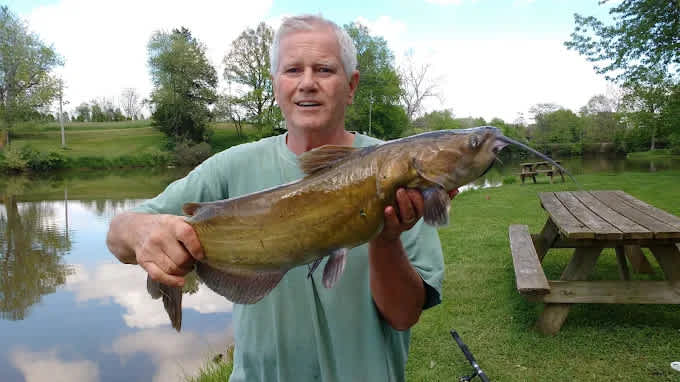 Big Fish-N-Campground