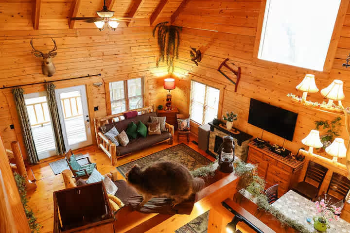 Deer Stand Cabin & Bear Cliff Cabin