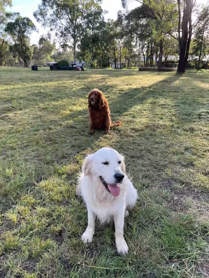 Hunter Valley Equestrian Centre