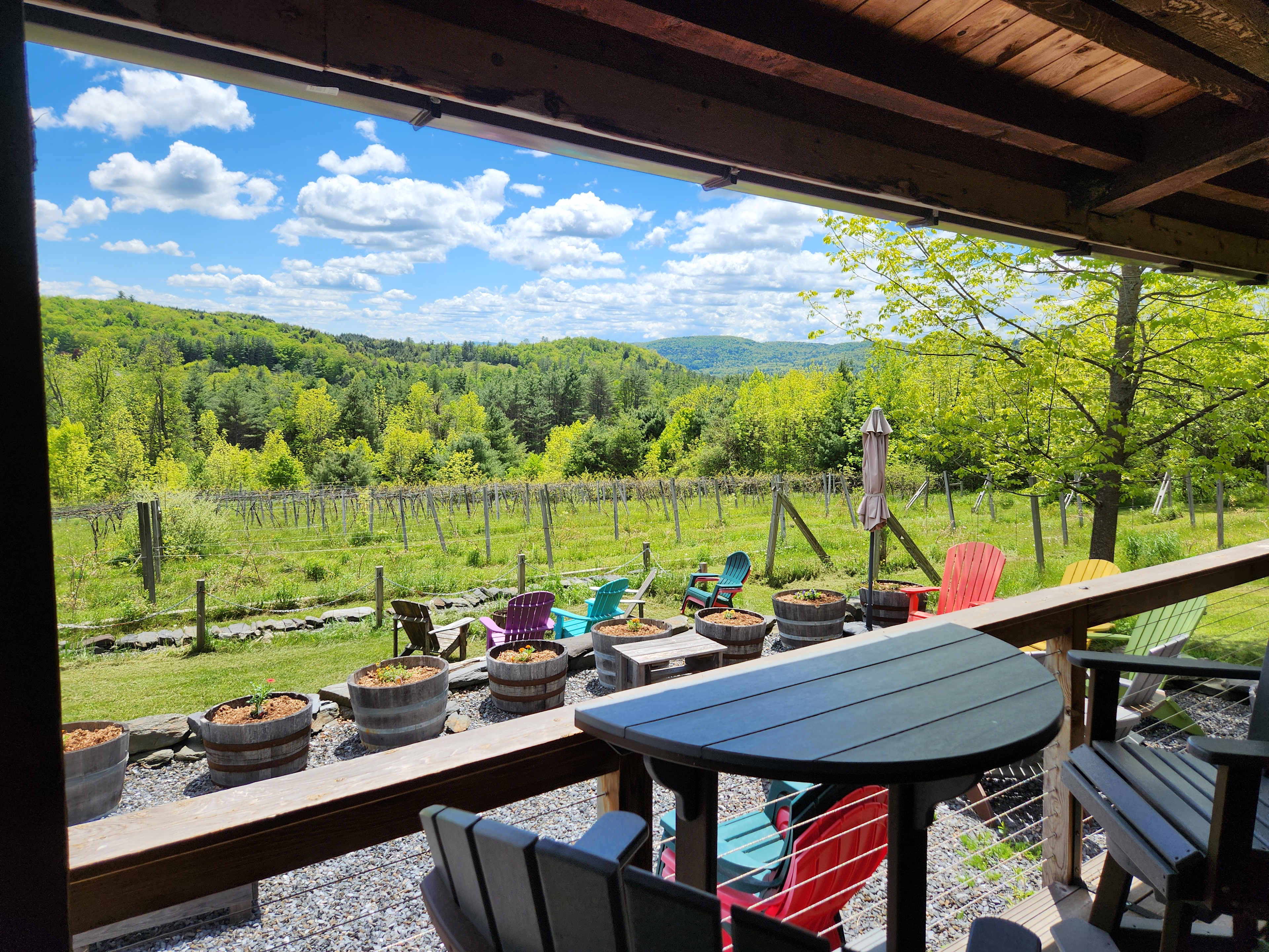 Lucky Bugger Vineyard Cabin