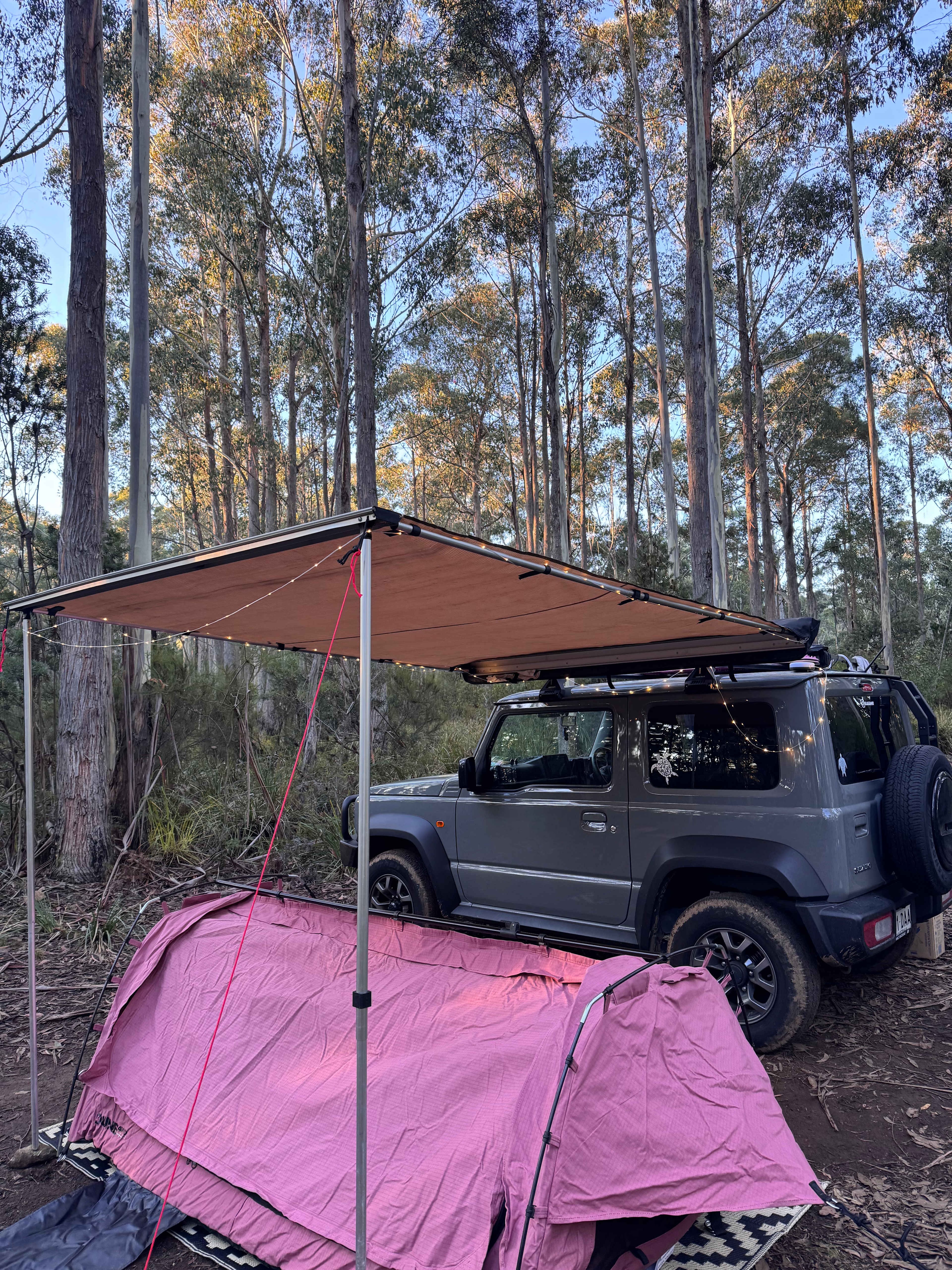 Our set up