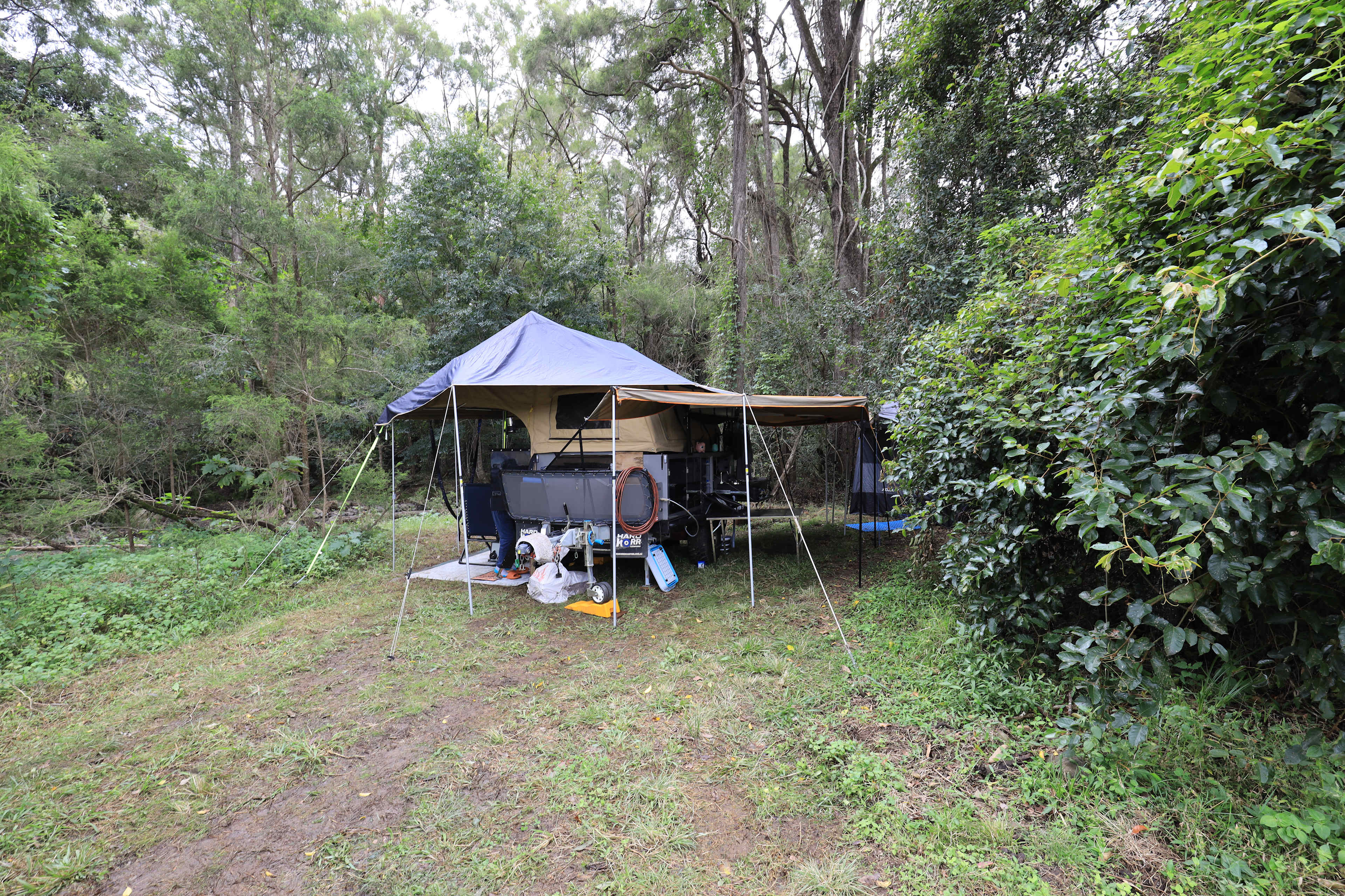 Tyungun At Ferny Glen