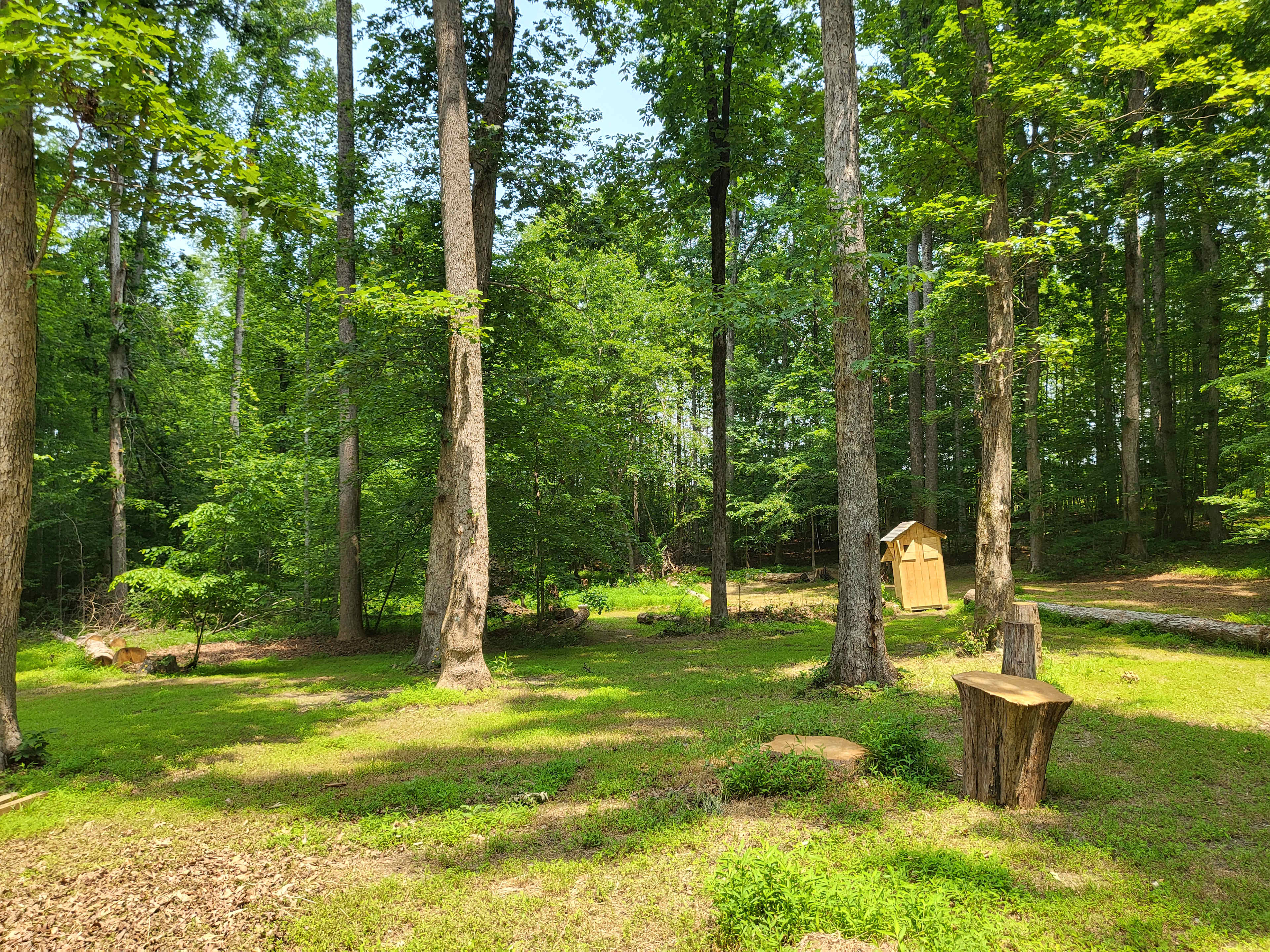 Old Grove