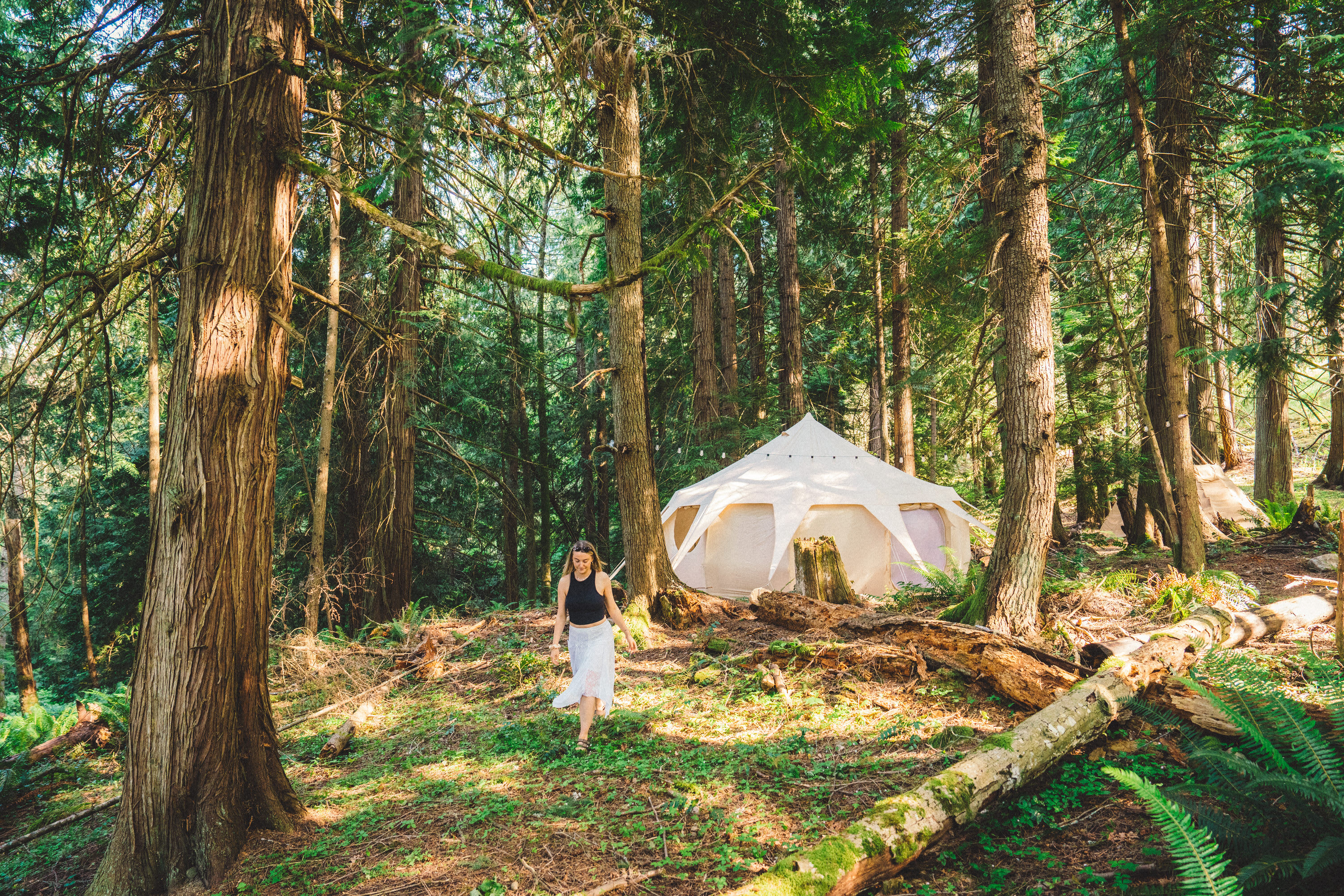 Living Waters Woodland Farm