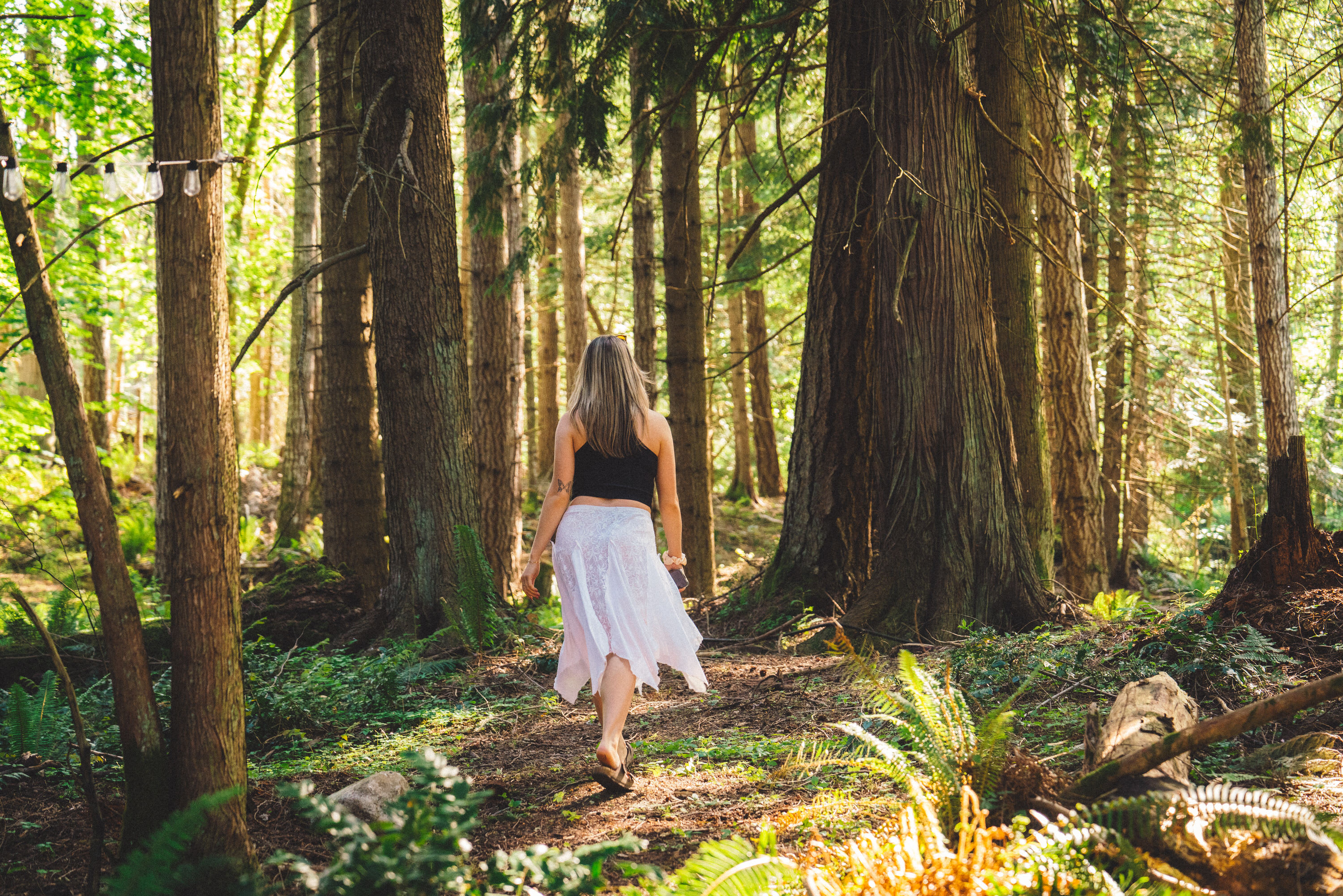Living Waters Woodland Farm