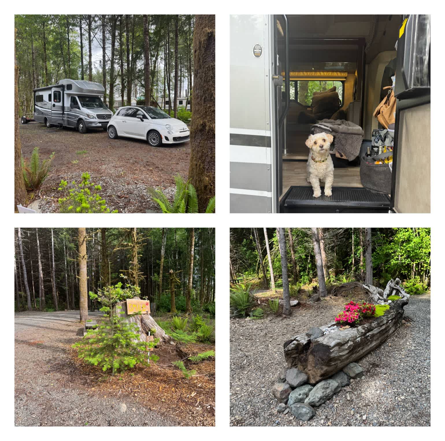 Olympic Adventure Campground