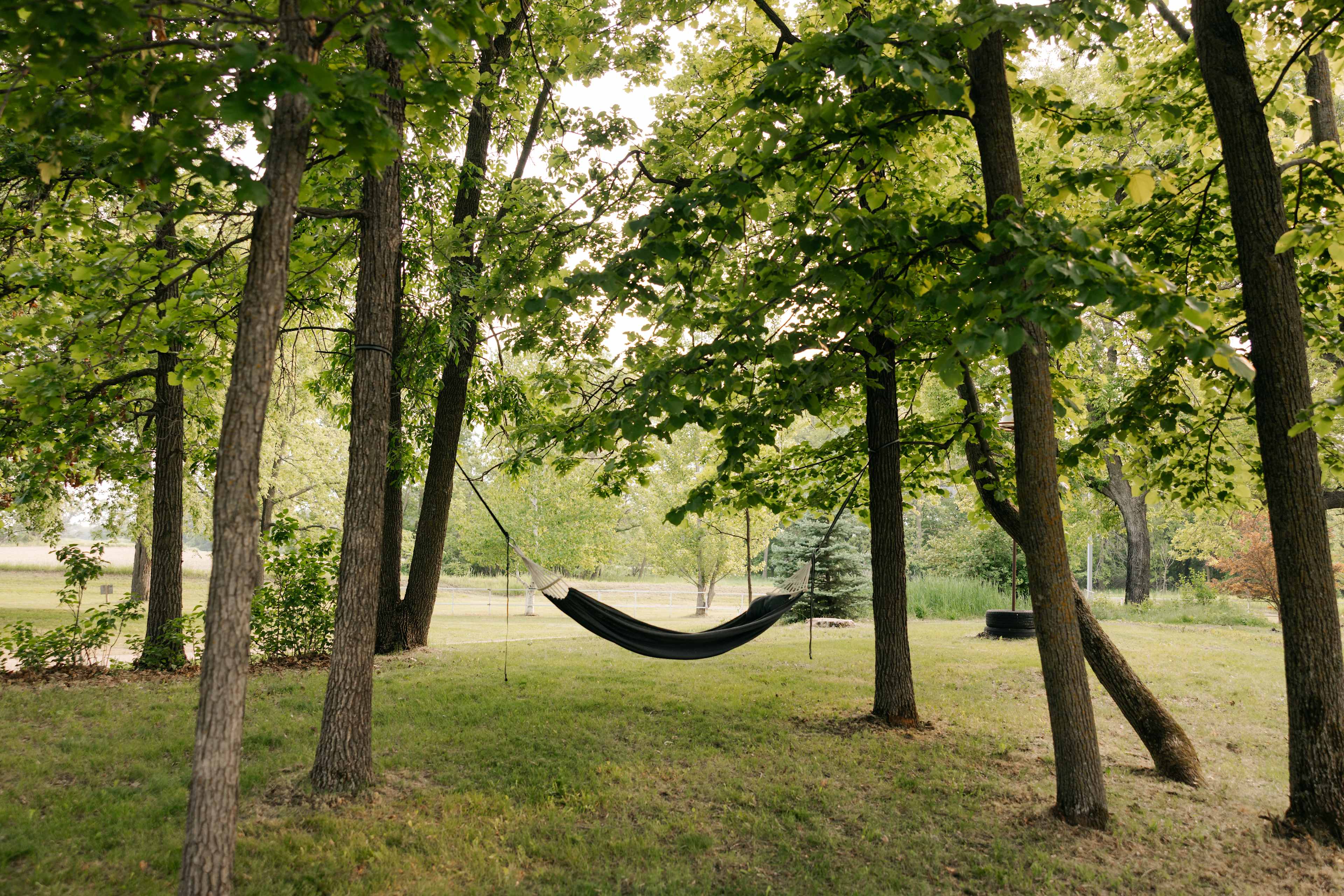 Unplugged Tiny Home + RV Sites