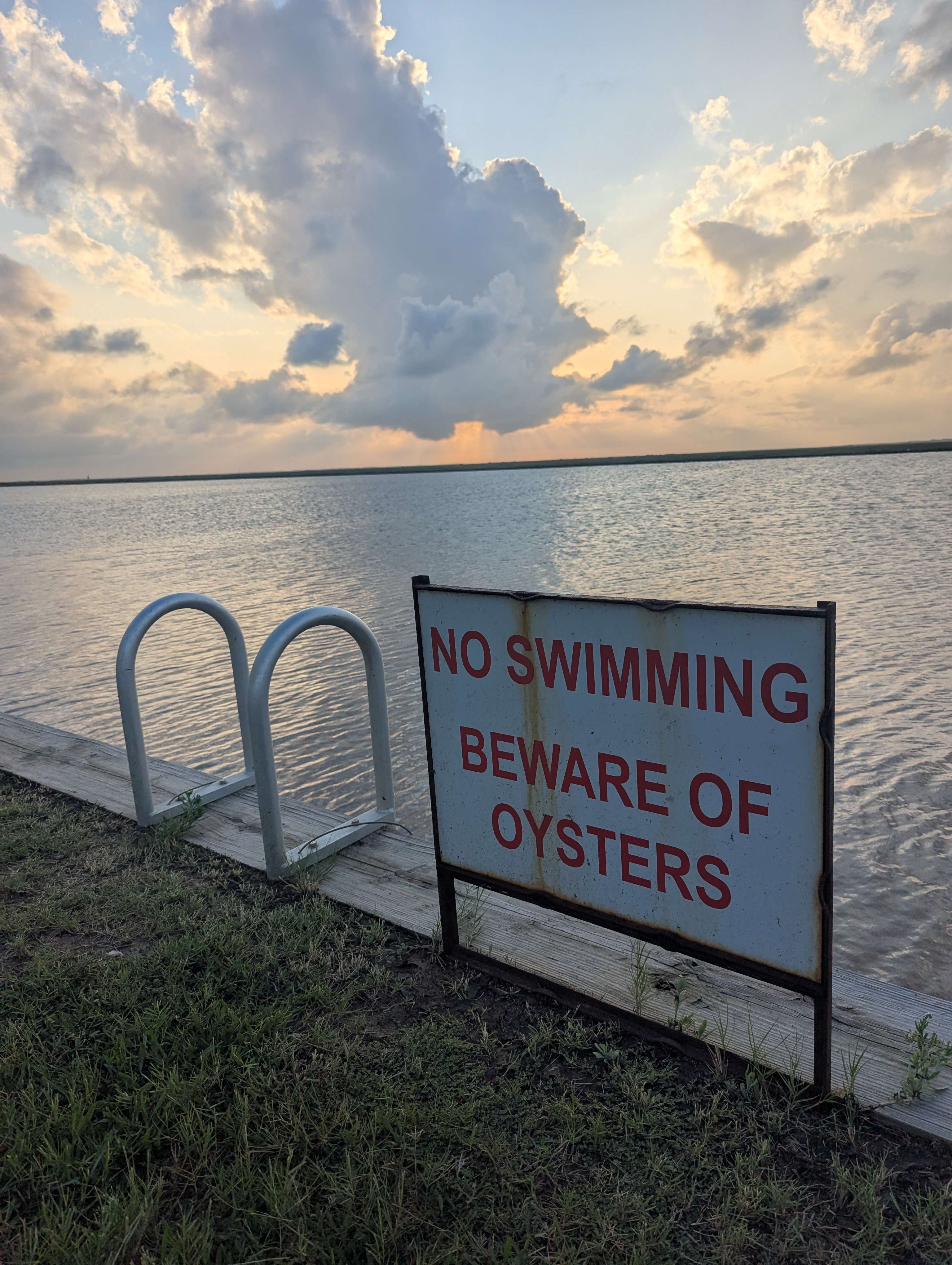 No Moss Island
