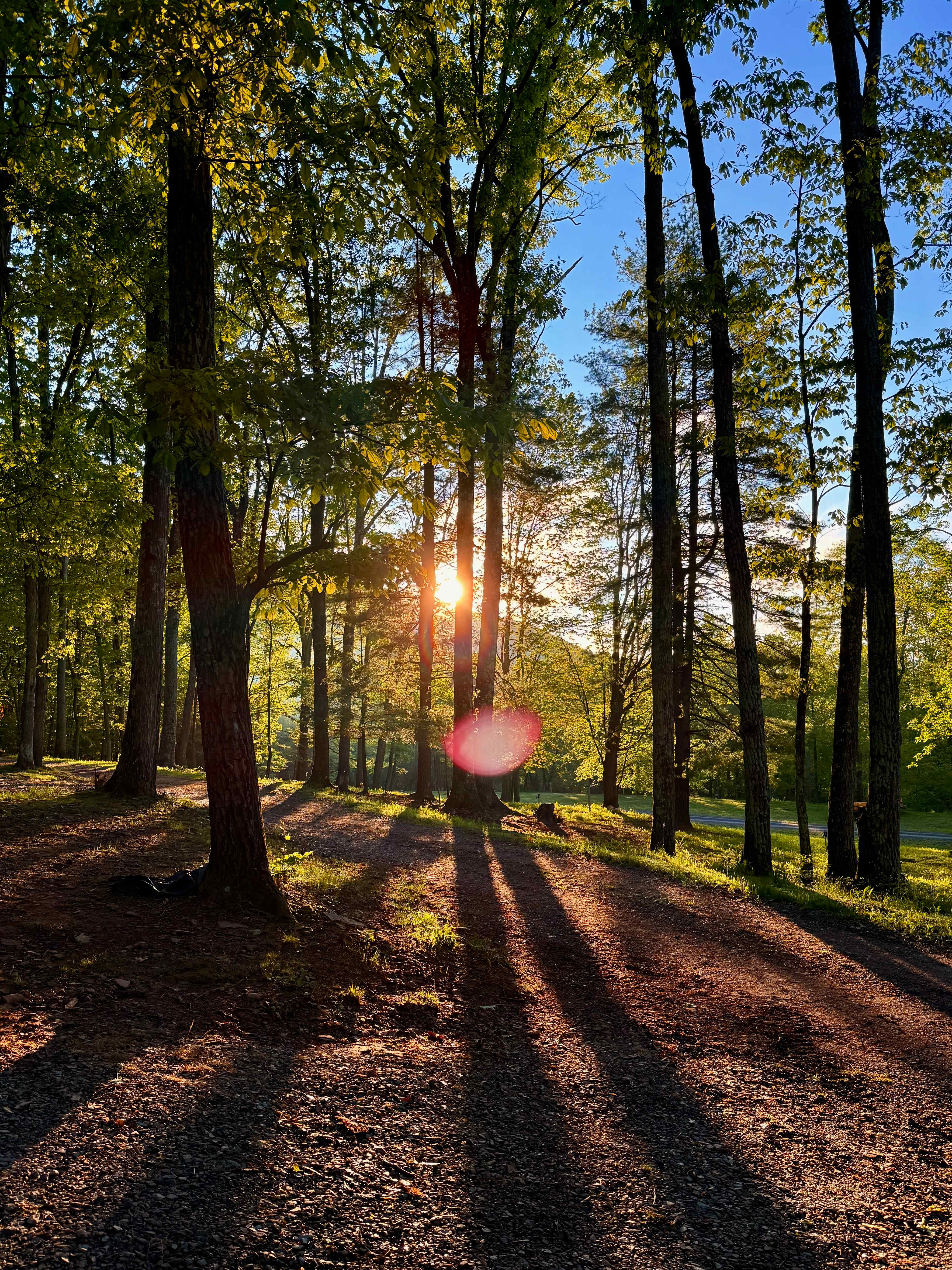 Great sunrise views in Spring