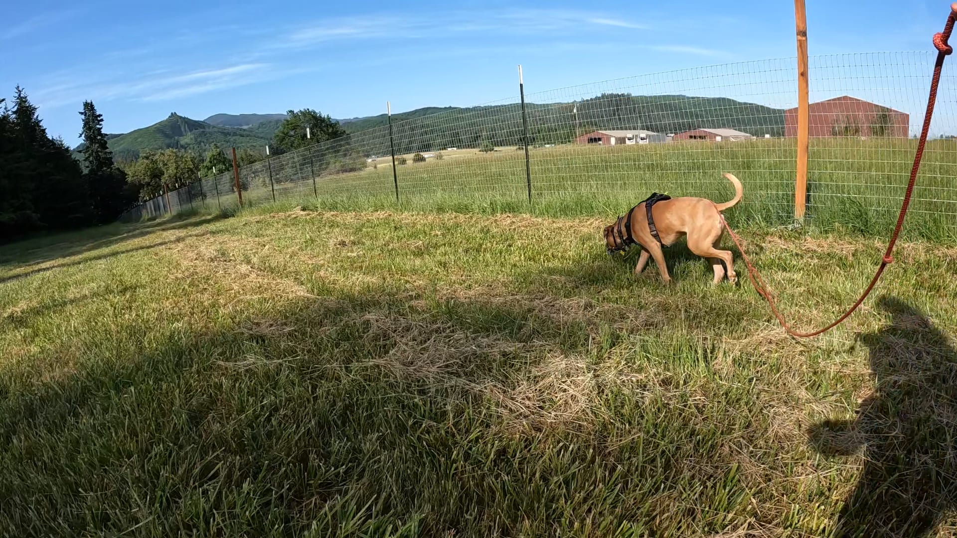 Shearer Farming and Camping