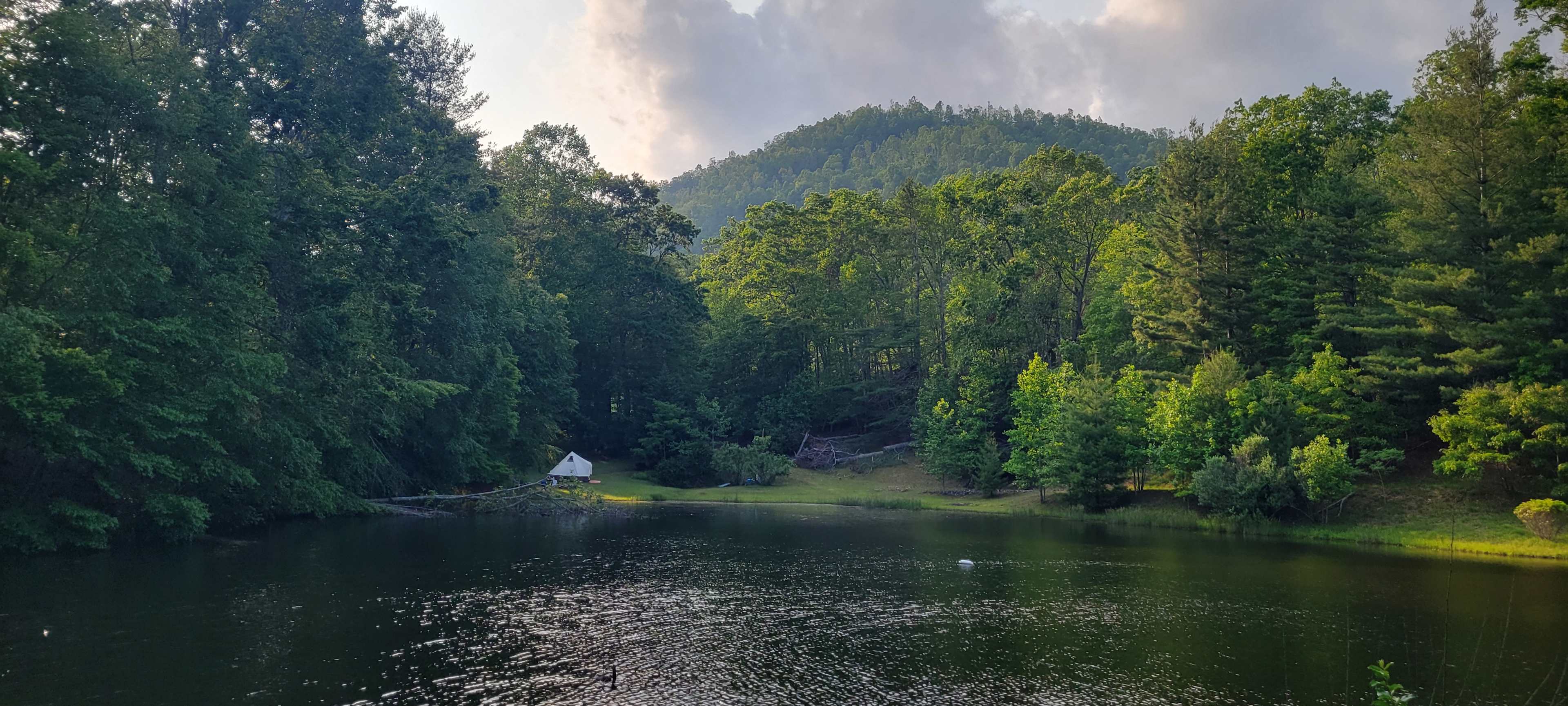 Blue Ridge Horse Adventures