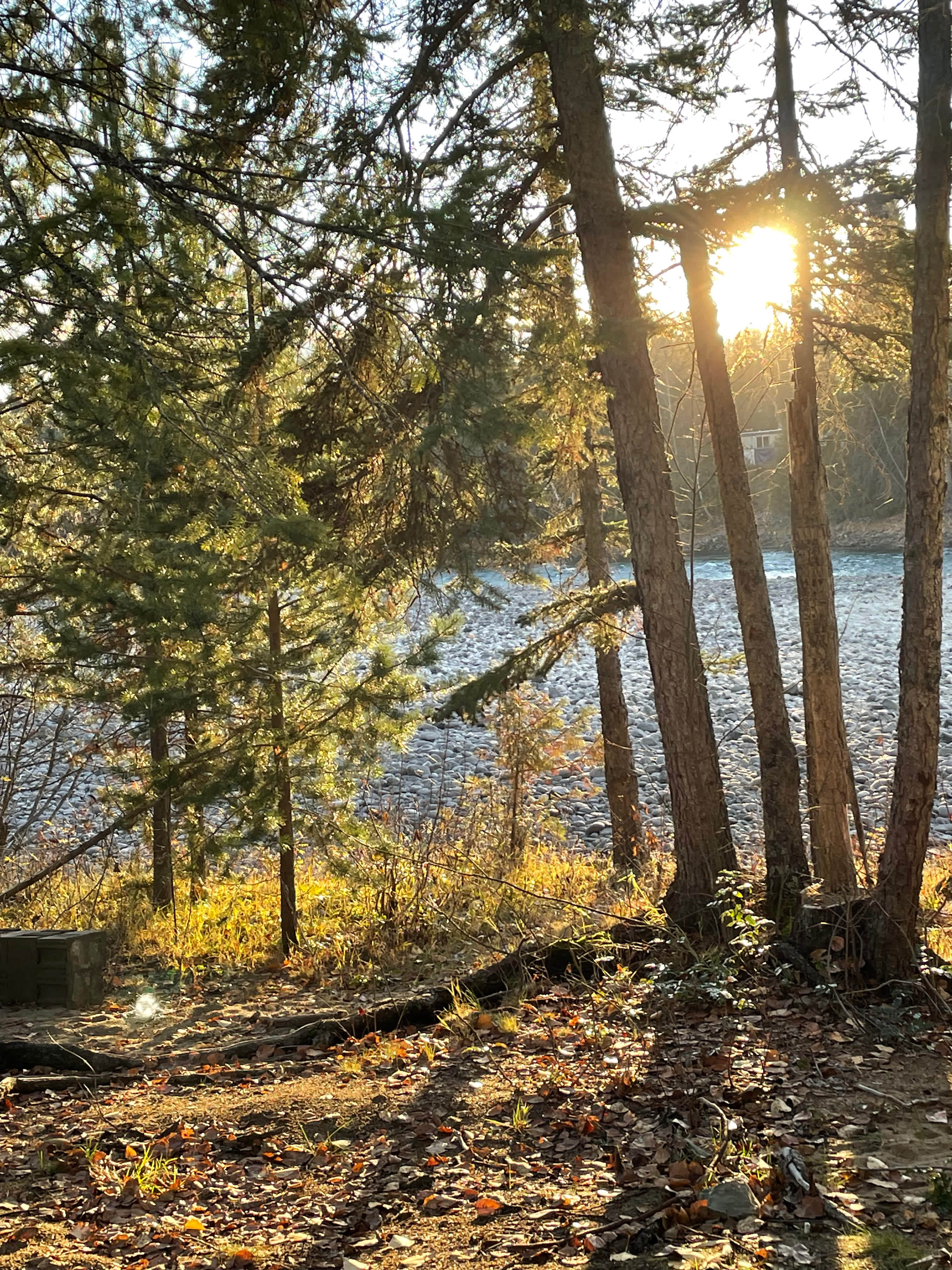 Wells Gray | River's Edge Retreat