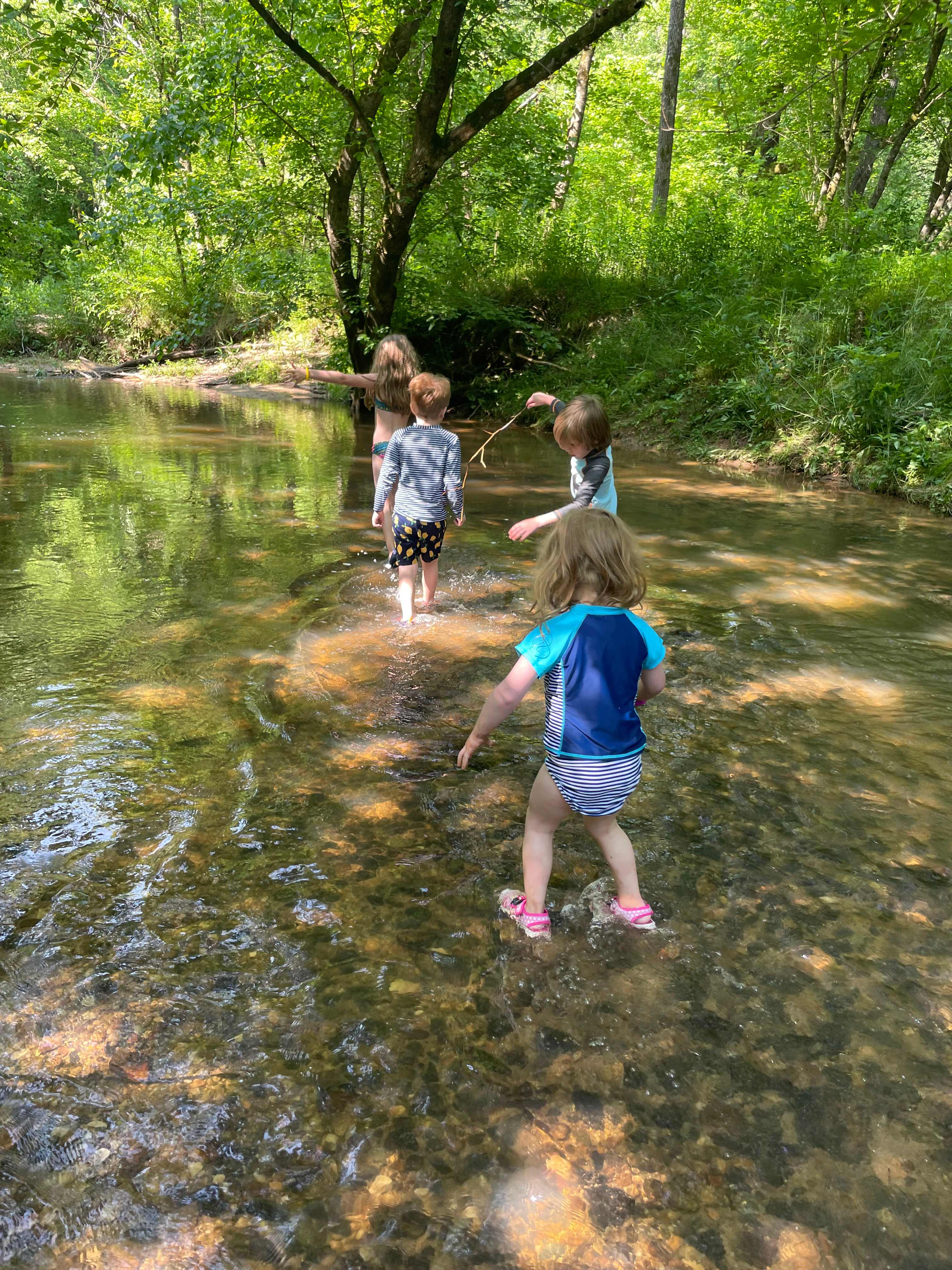 The Oasis at Harmon Creek Farms