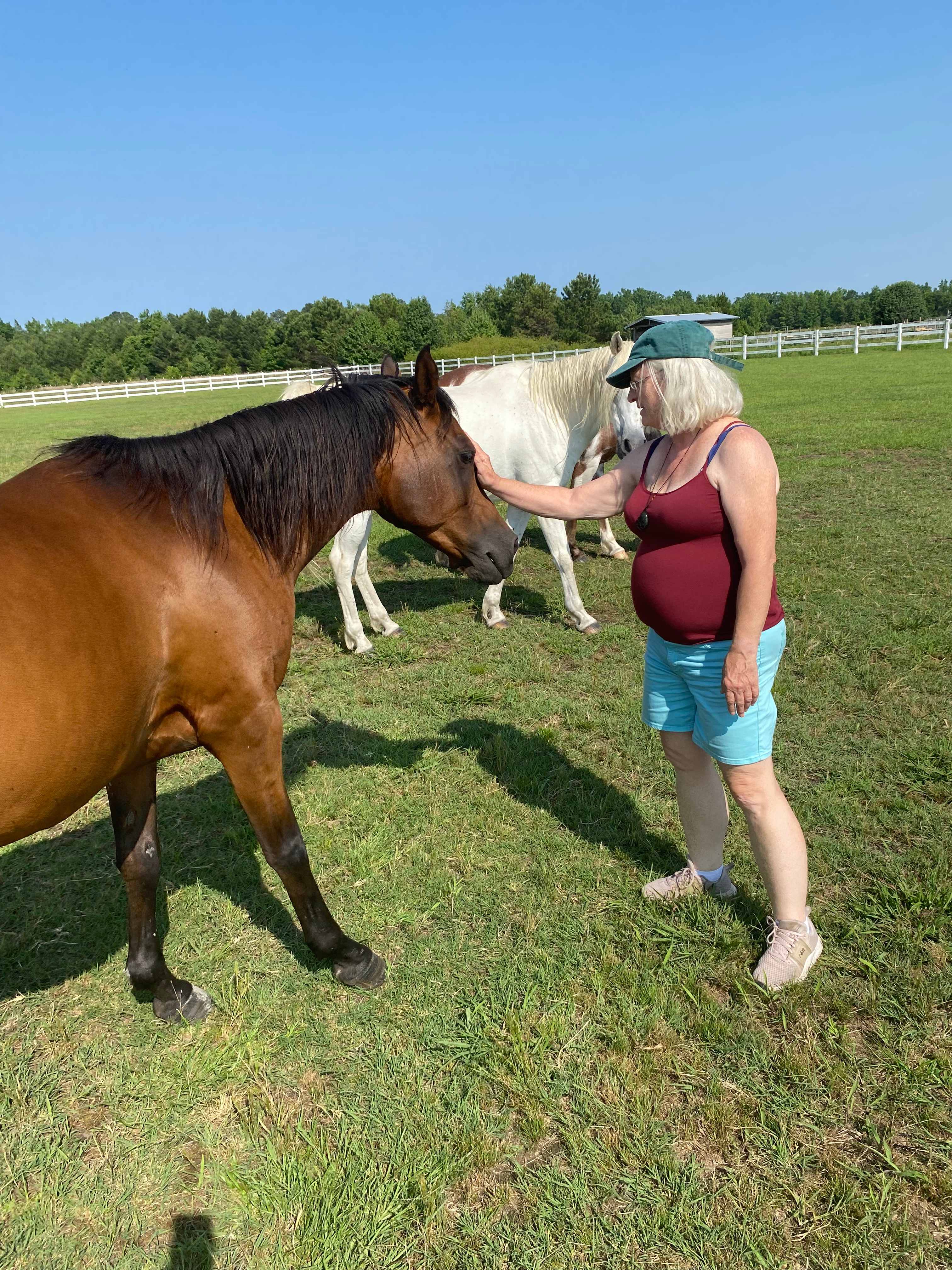 Petting horse.
