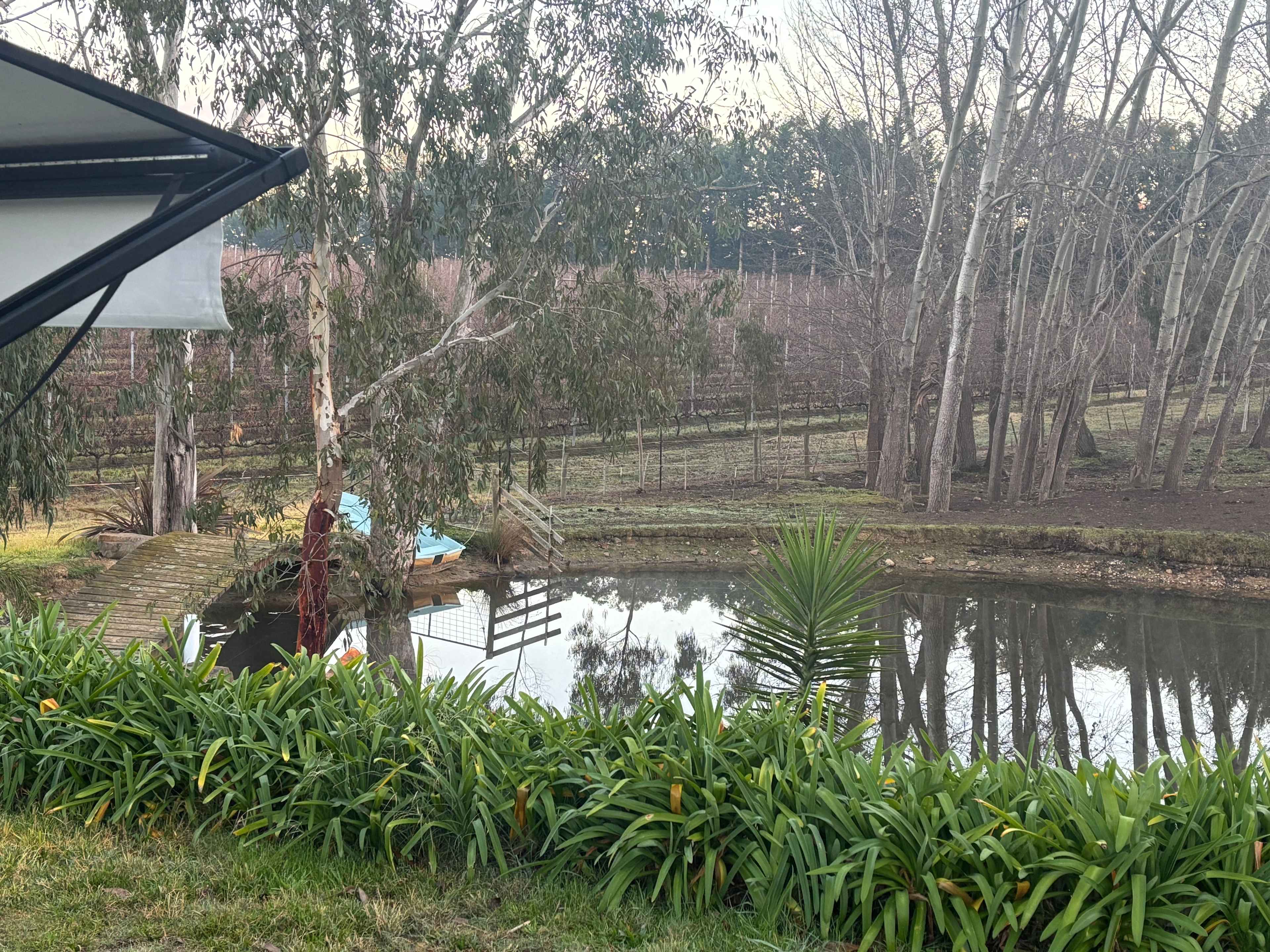 Yarra Valley Vineyard Views