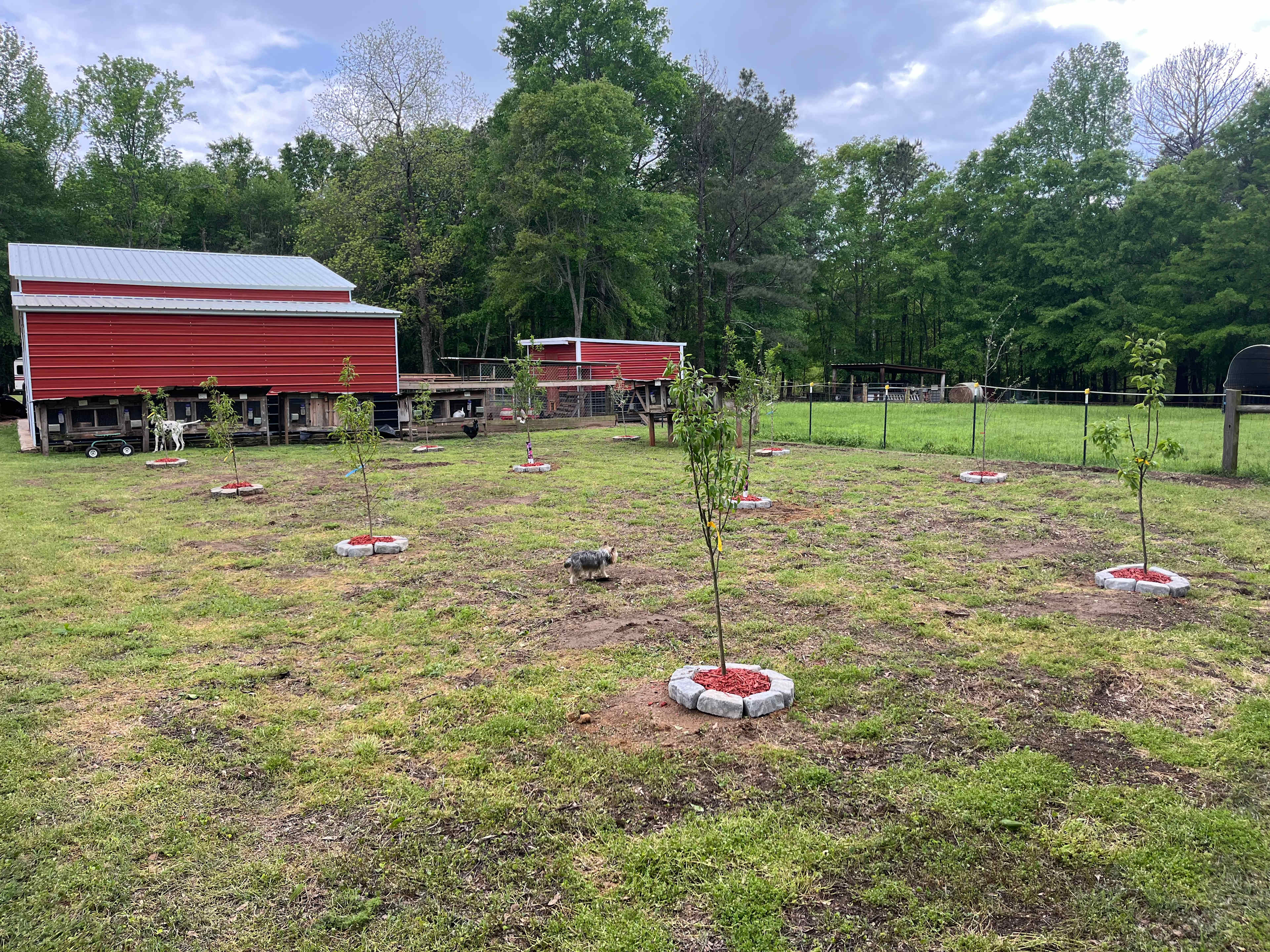 Nu Sunrise Farms