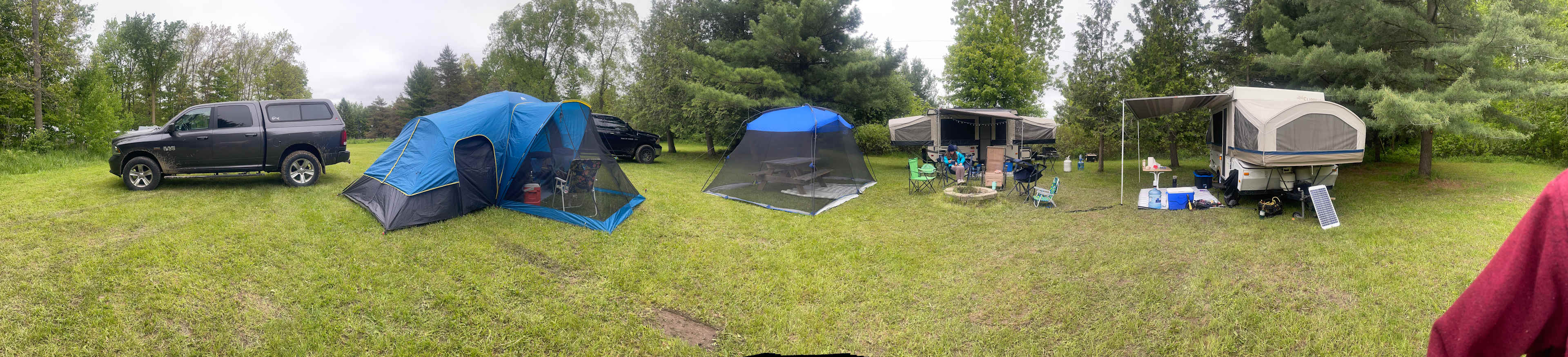 Love our site