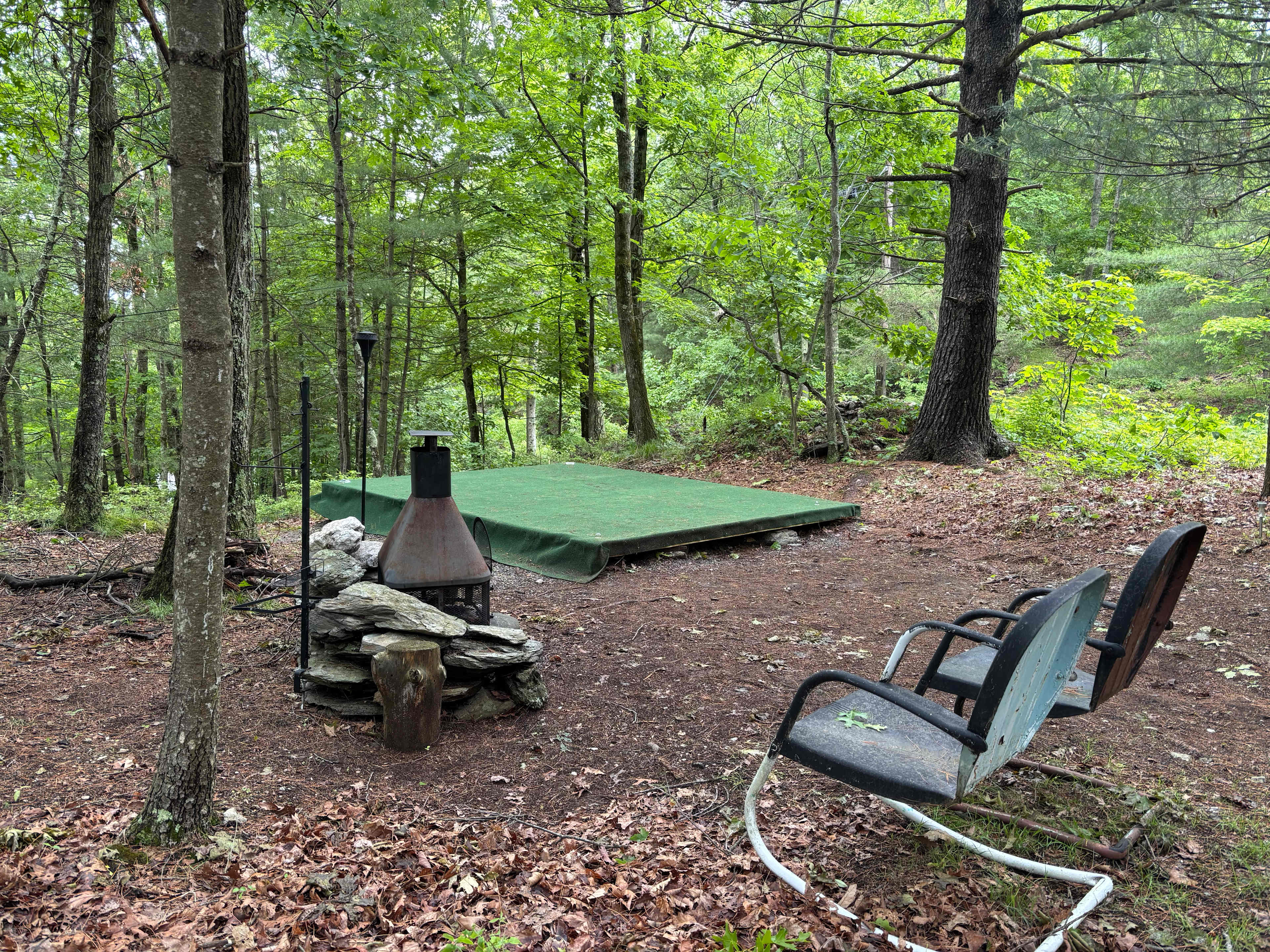 Picture of the site