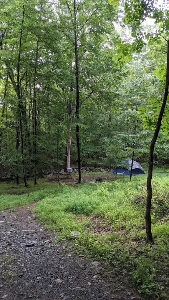 Cranberry Run Campground