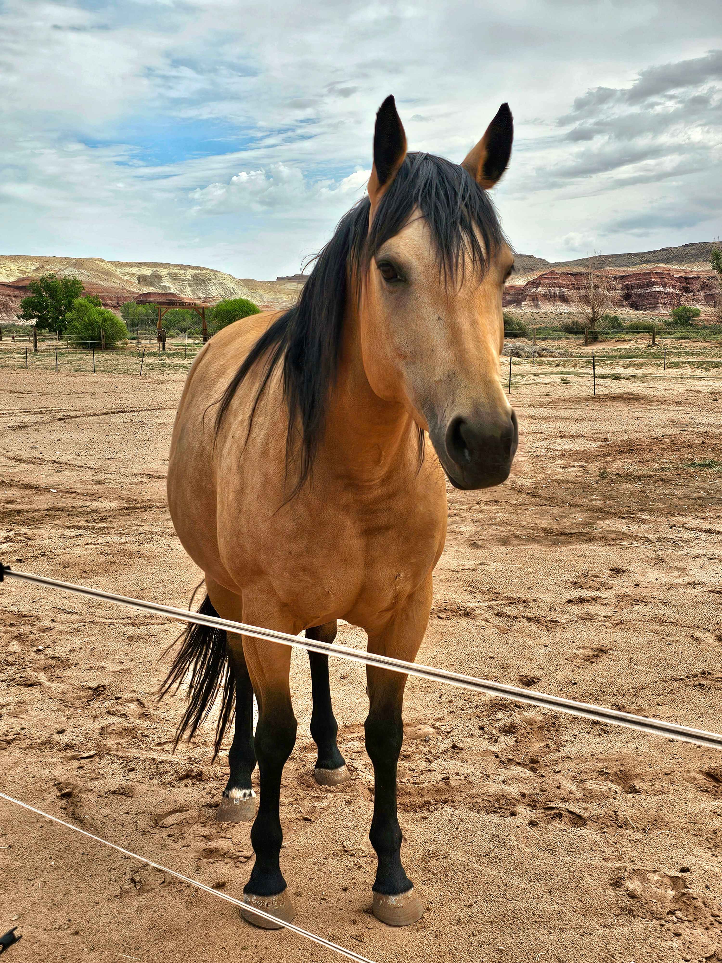 Paria River Ranch