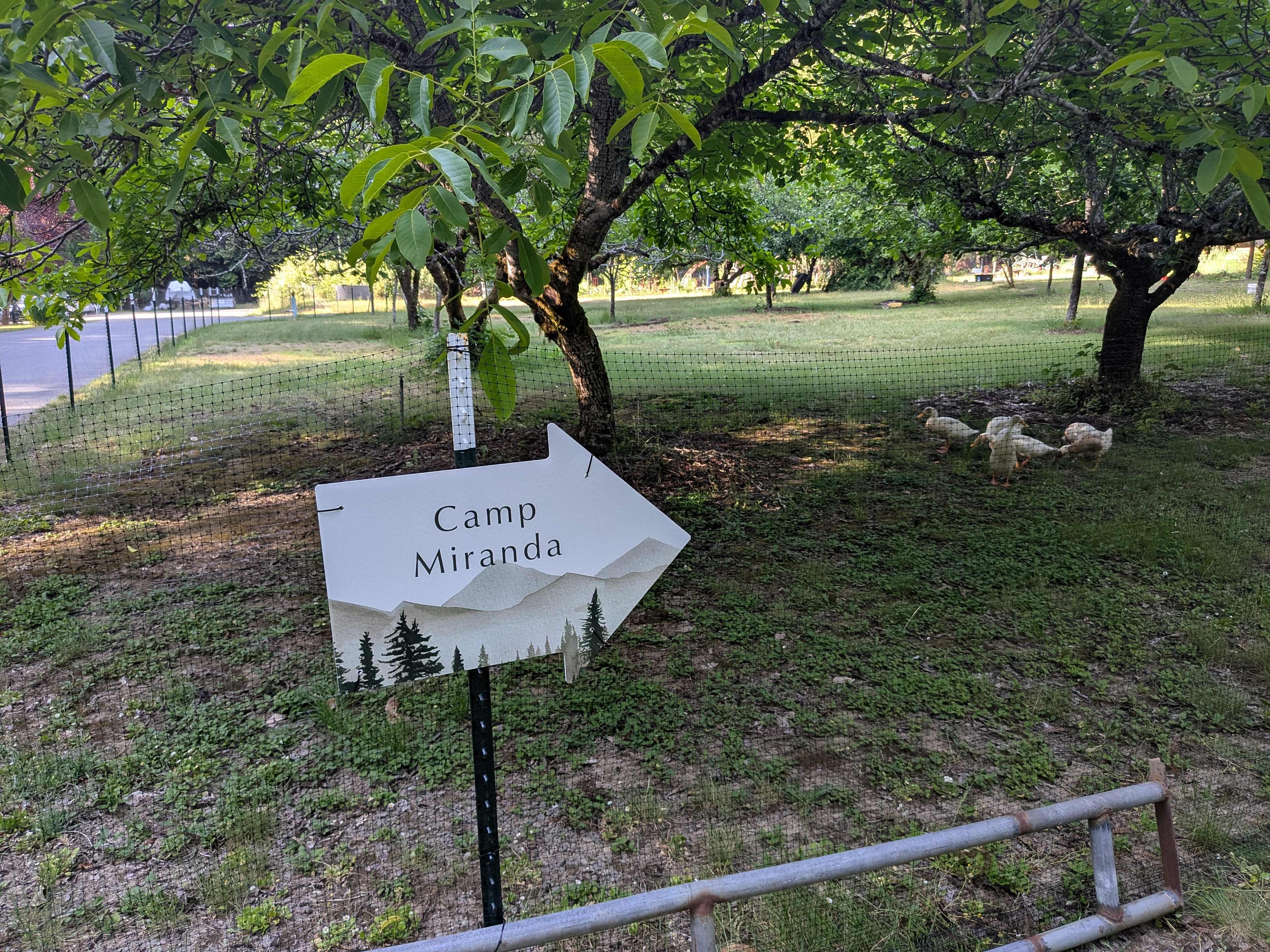 Camp Miranda