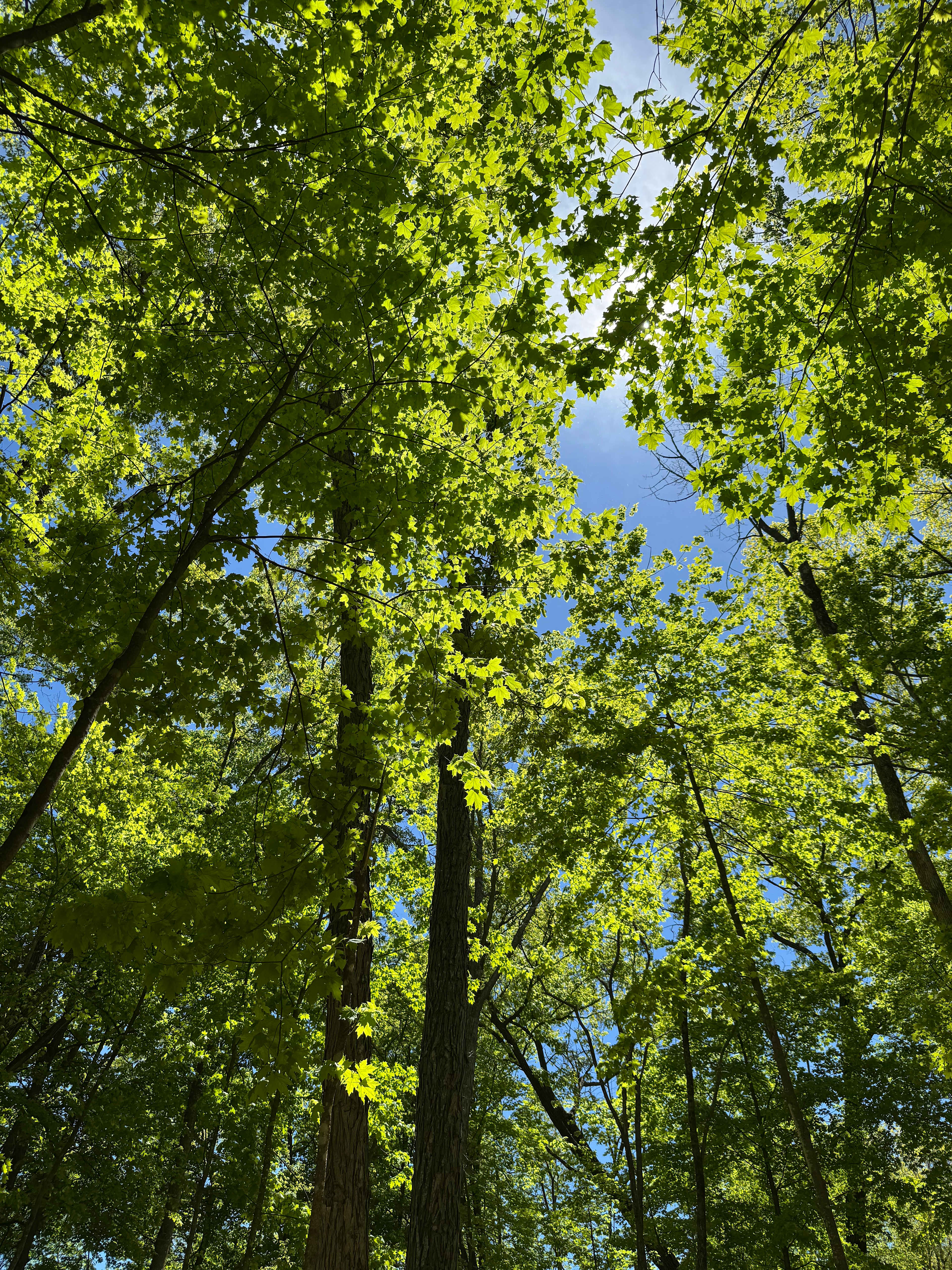 WHY Camp Worth Healing Yourself