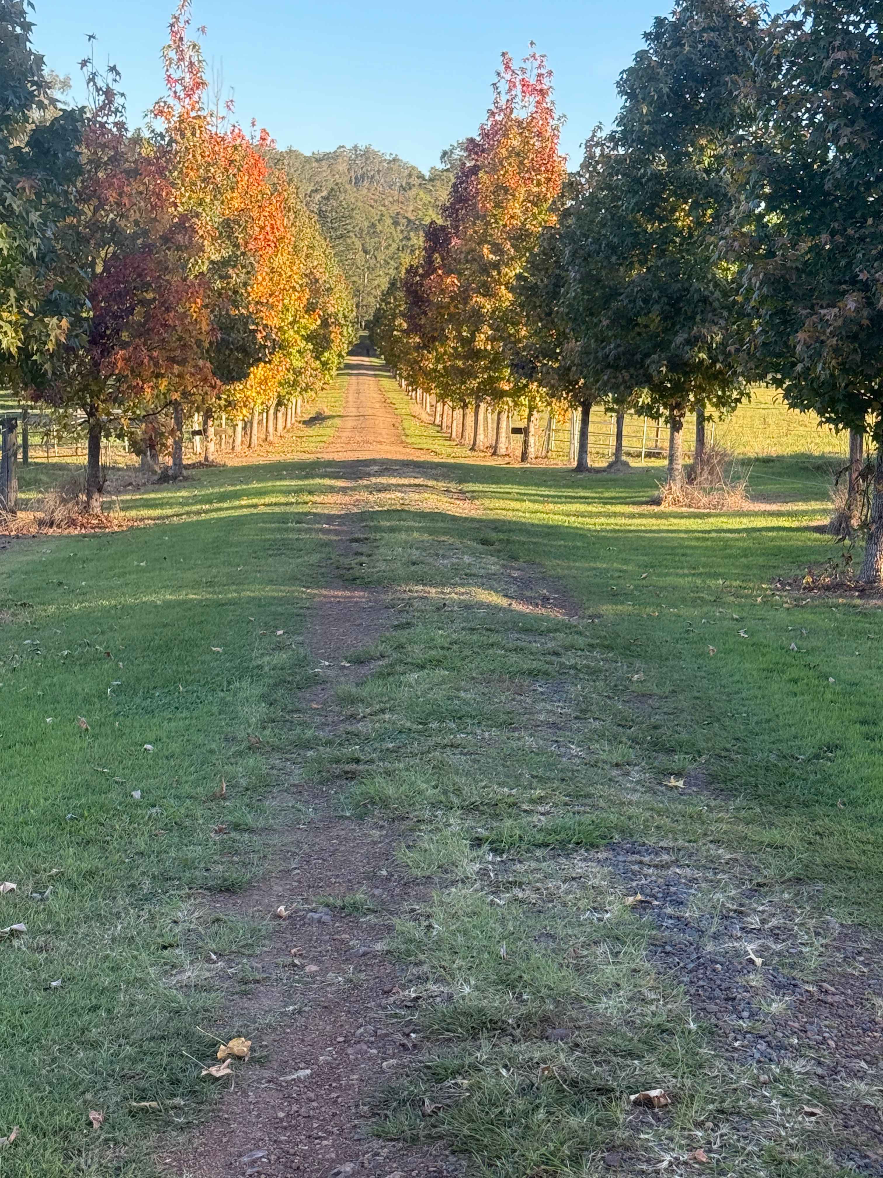 Maluka Park