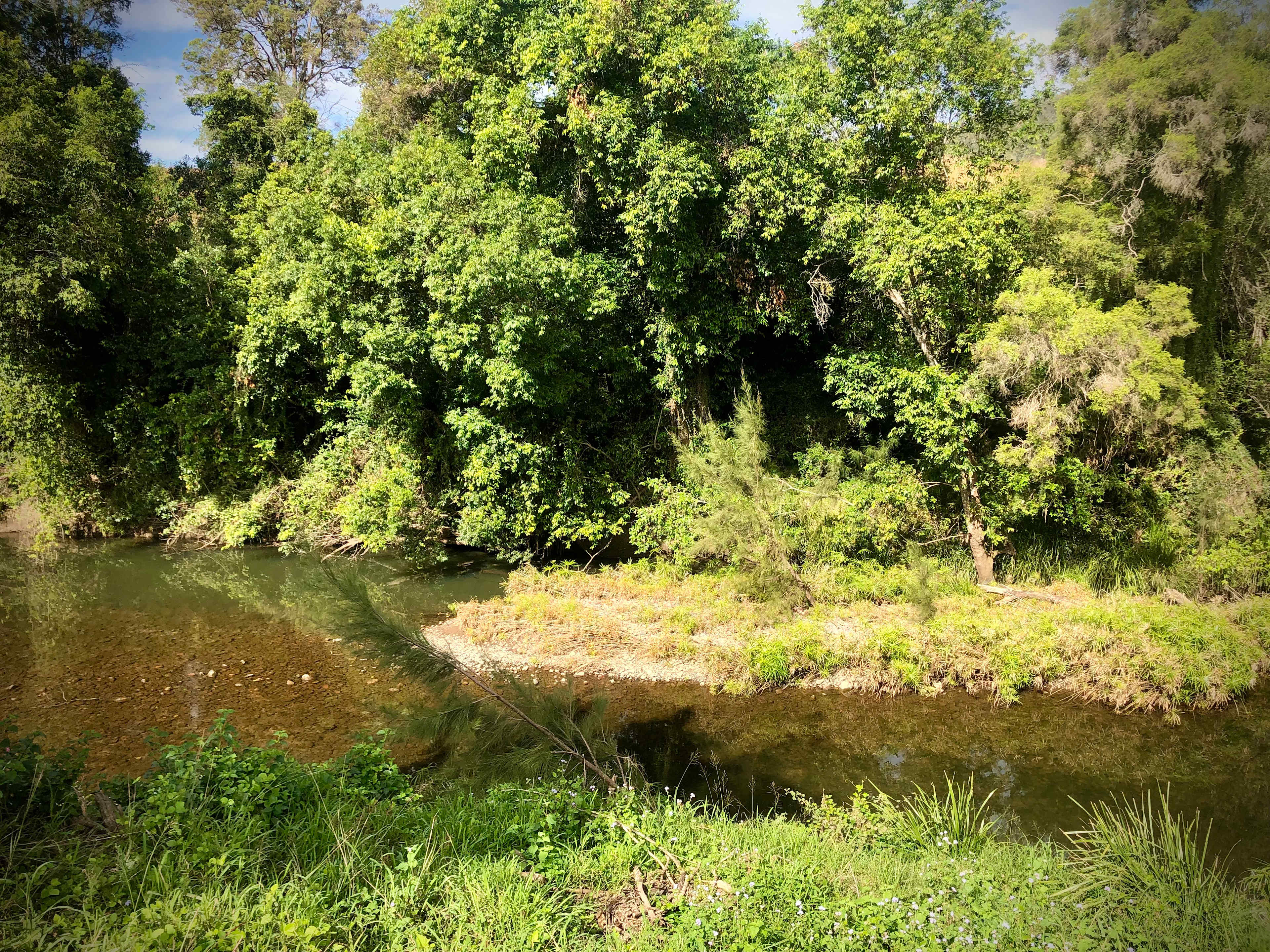 Plenty of creekside exploring and swimming holes in permanent crystal clear creek.