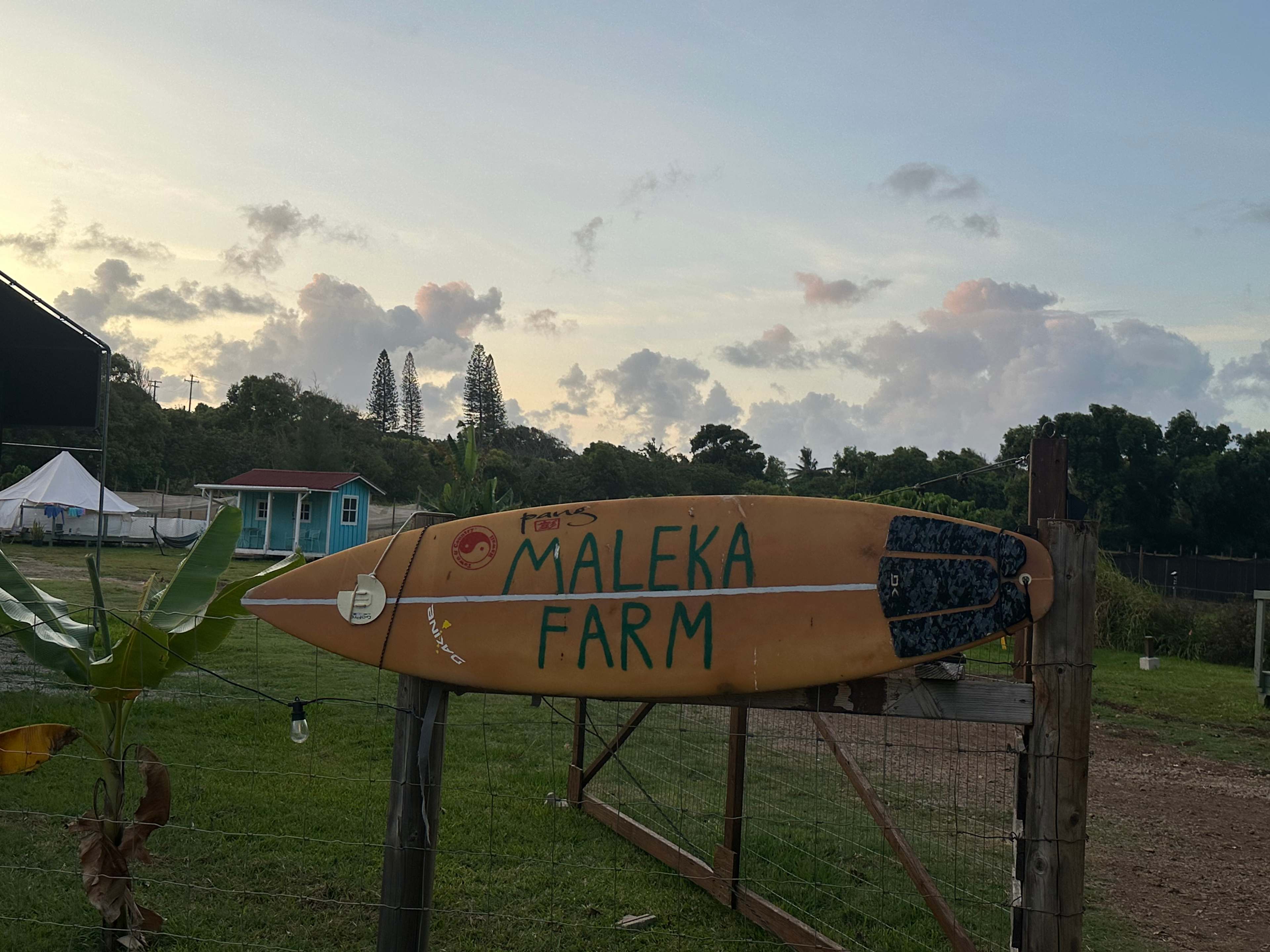 Maleka Farm: Camper-van & Tent