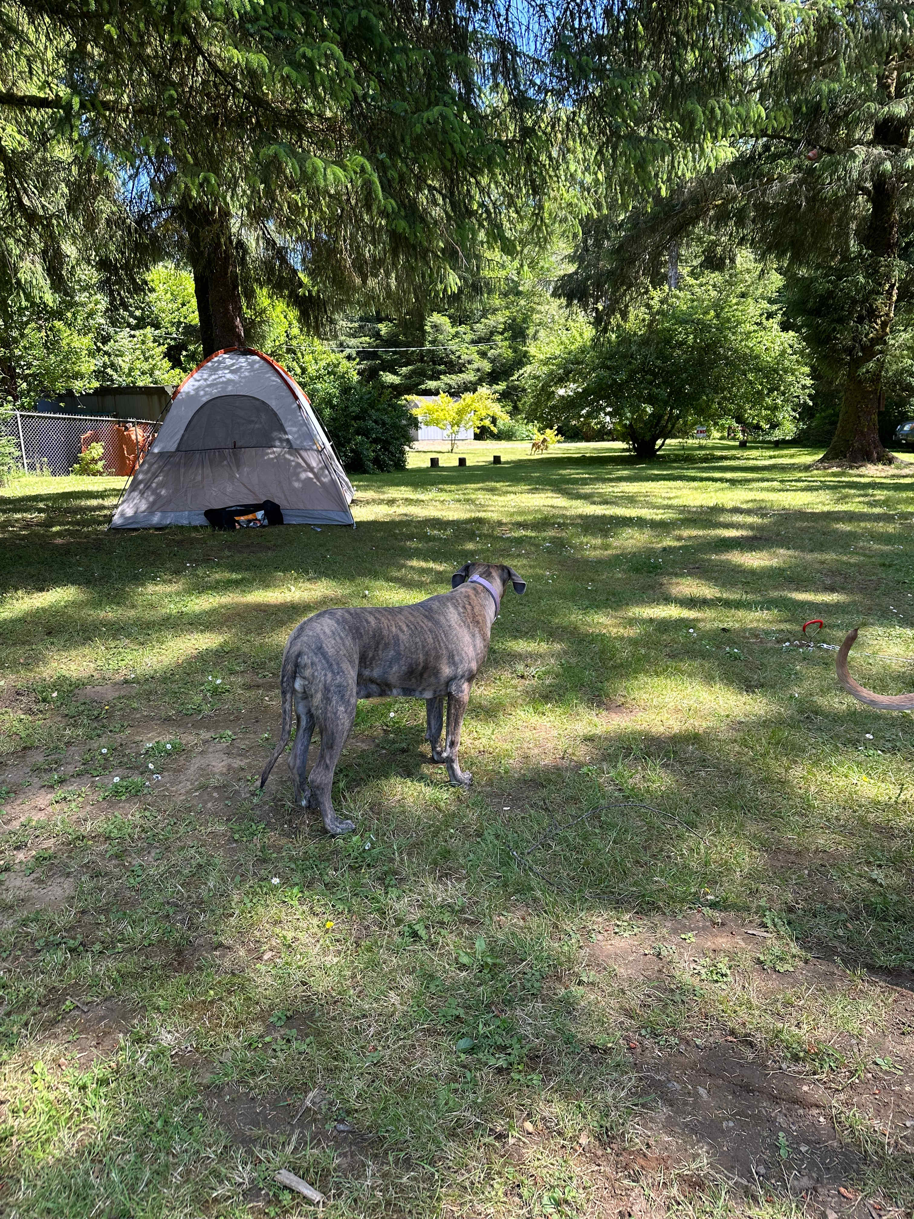 Riverside Camping