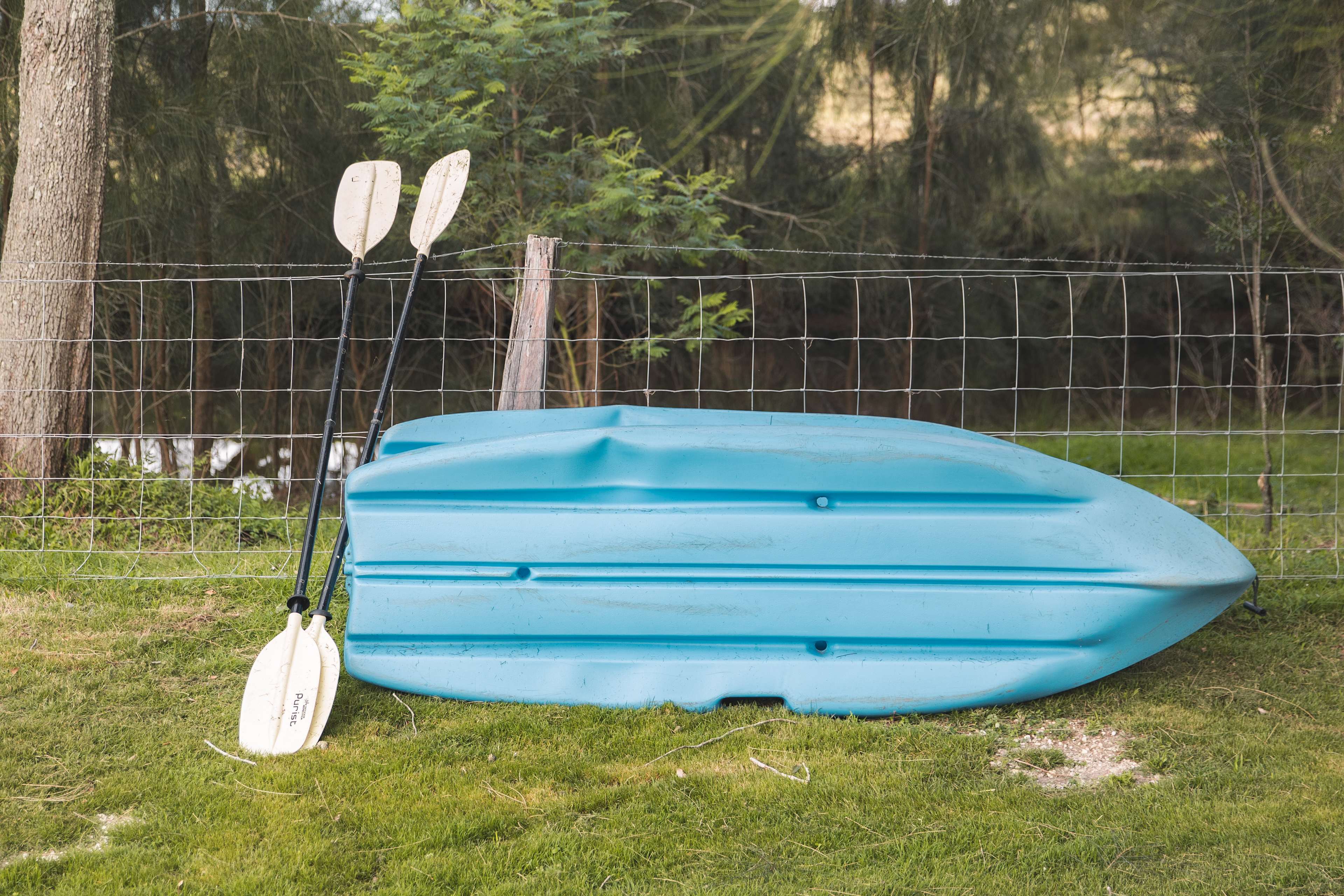 Kayak