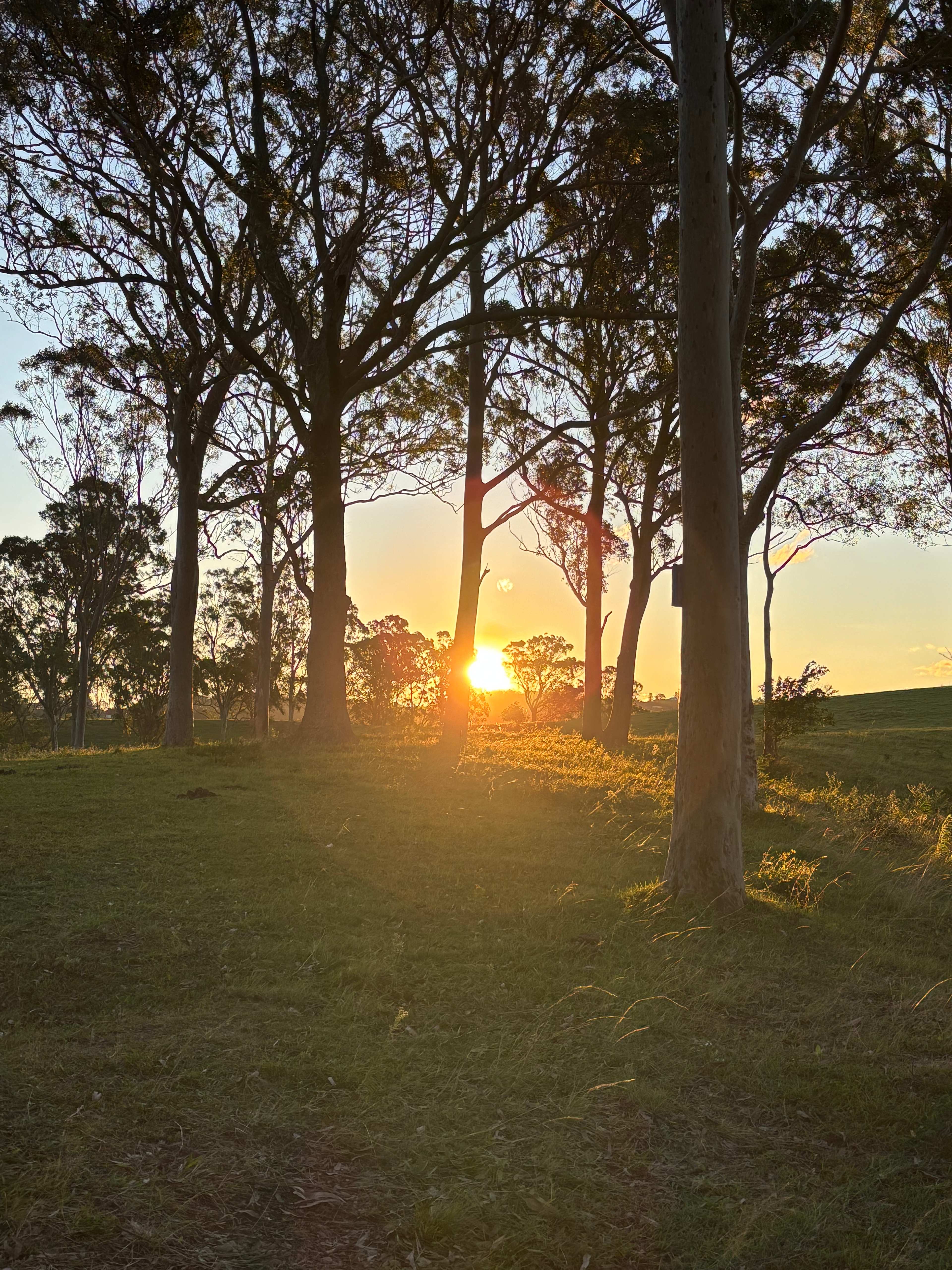 Rangetop Farm