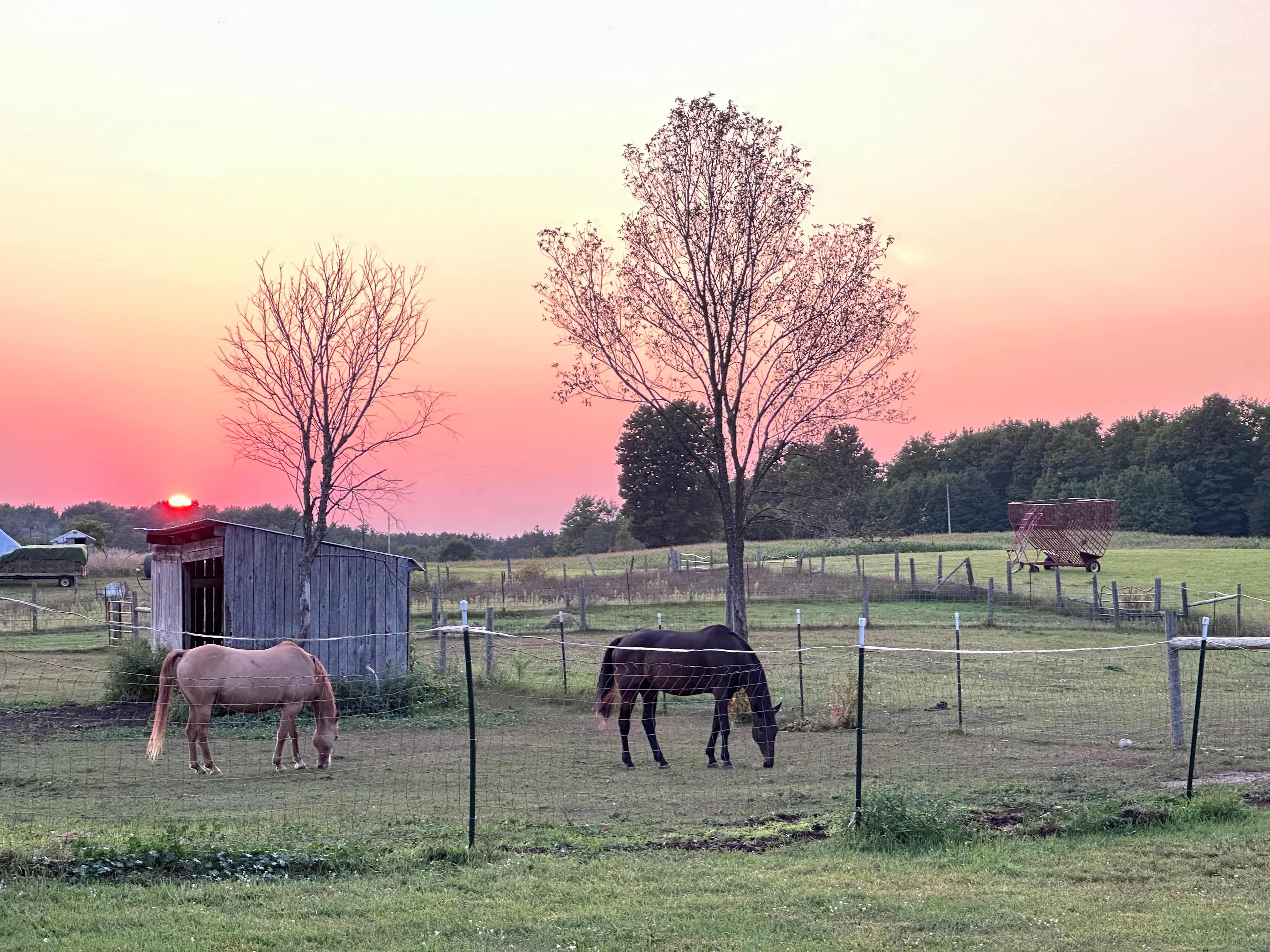 Finnegans Farm