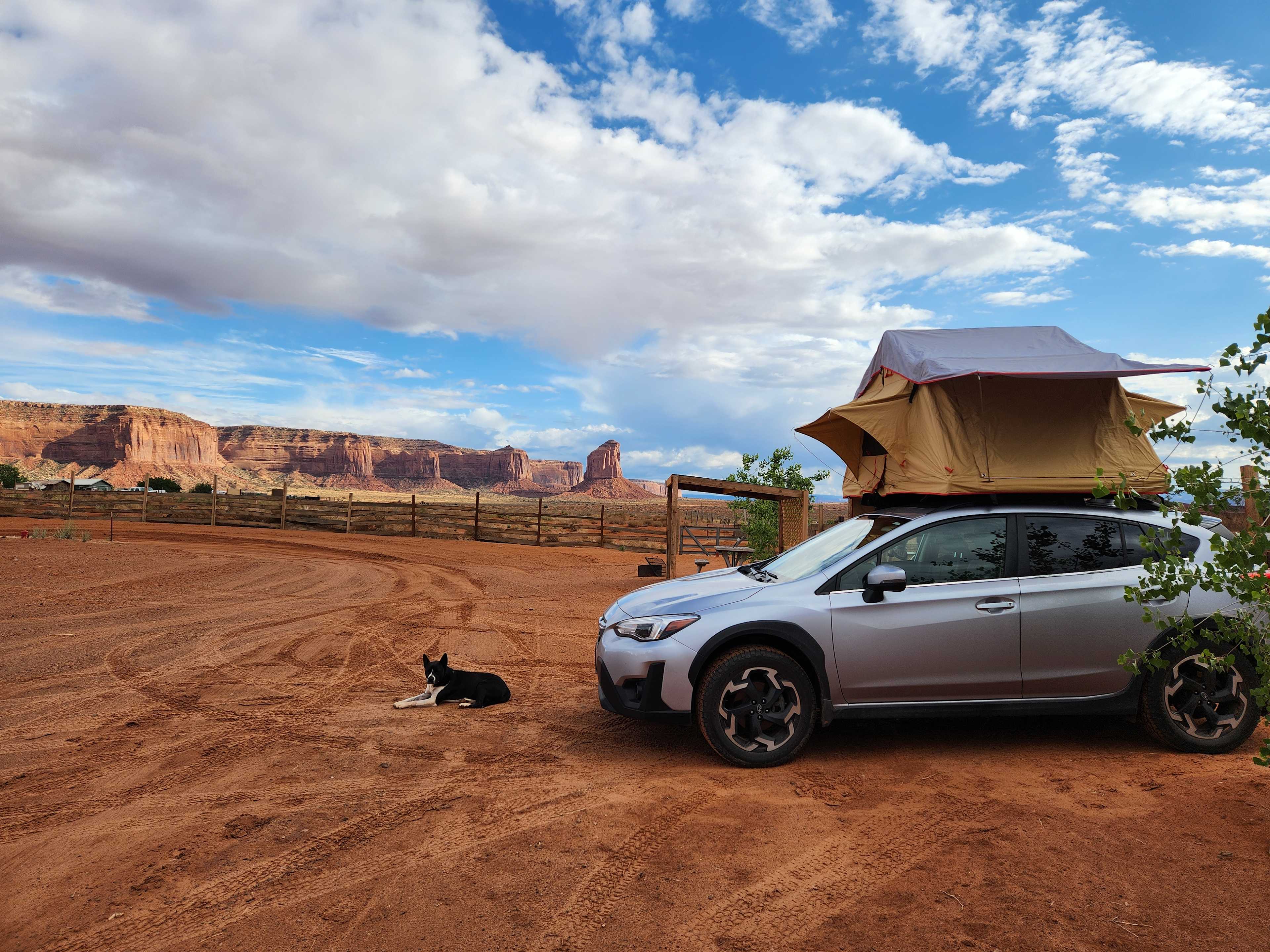 Dog comes with camp!