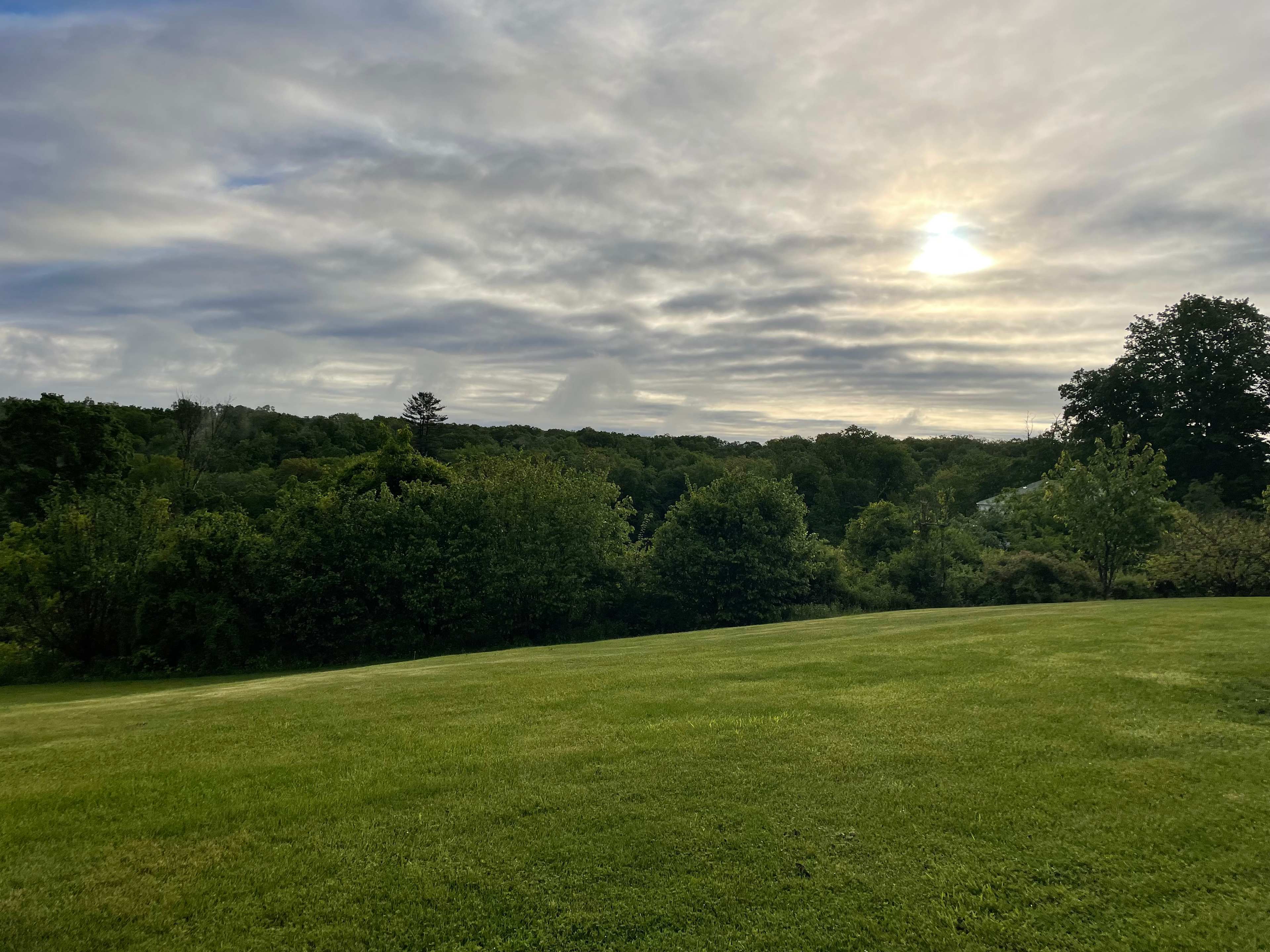 Mickelberry Forest Gardens