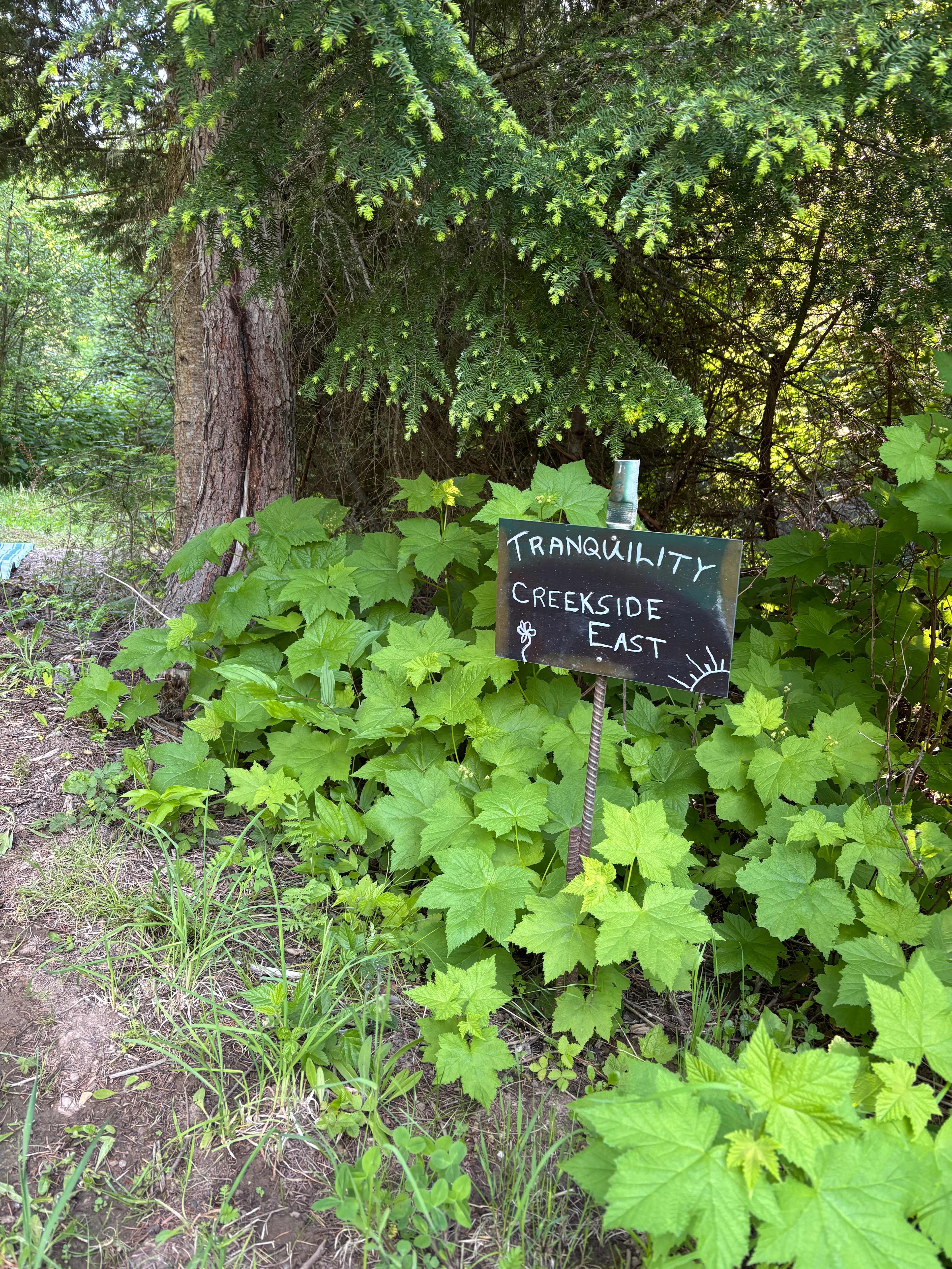 Casler Farm West