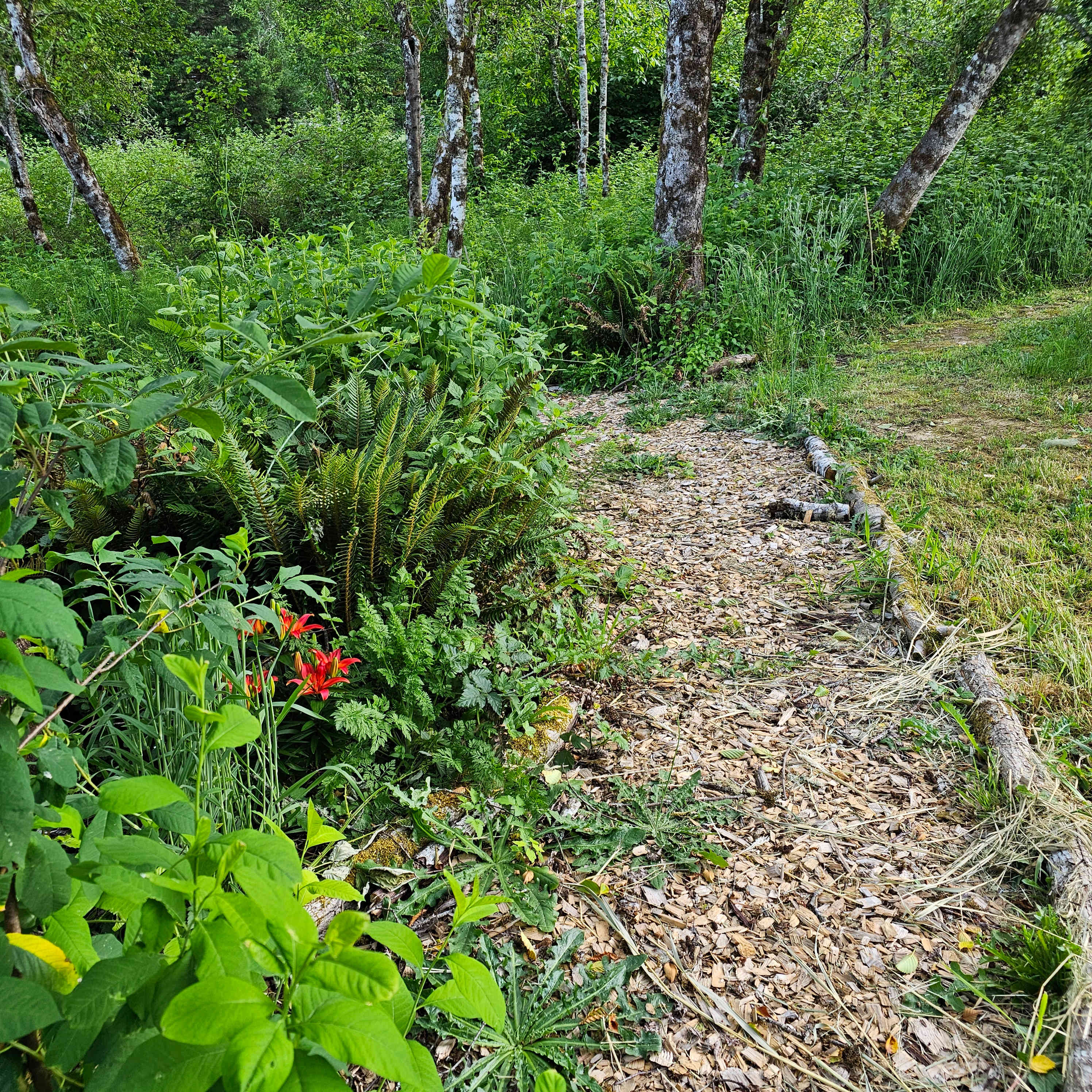 Fernwood Retreat At Bloom Hill