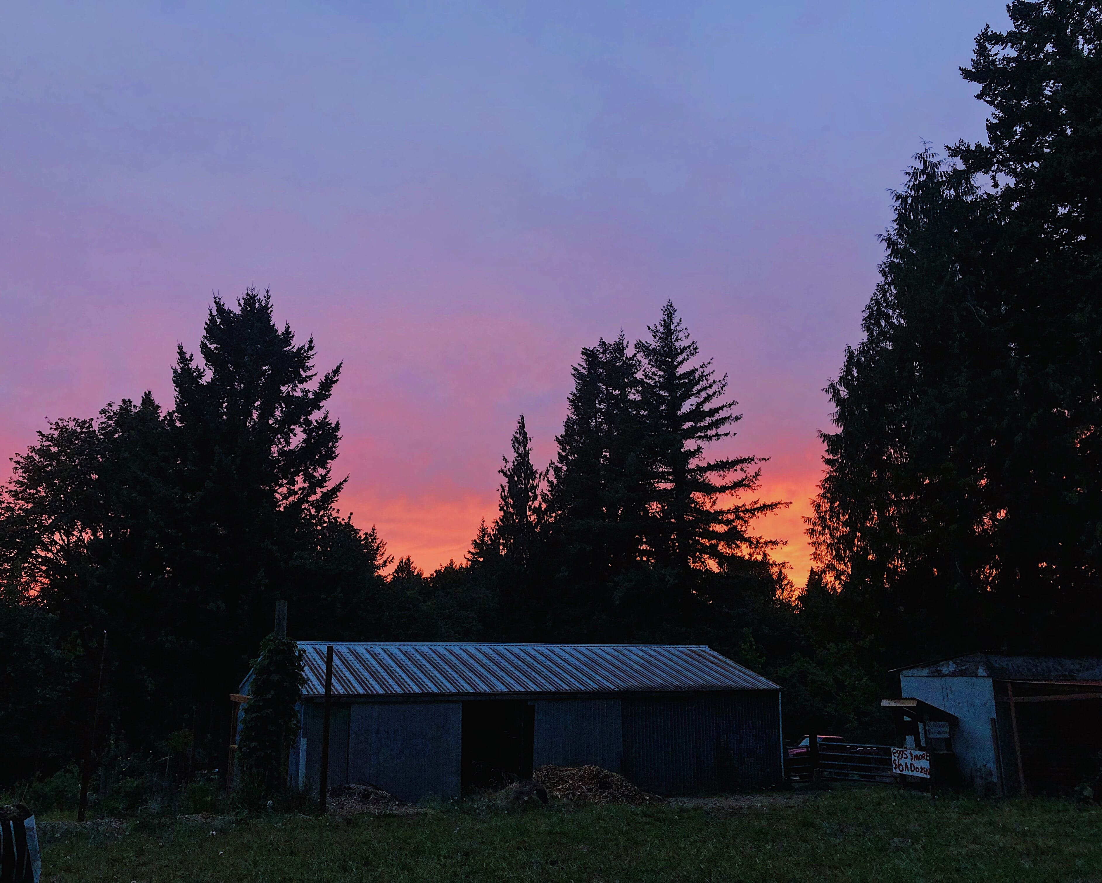 Sunset Ridge