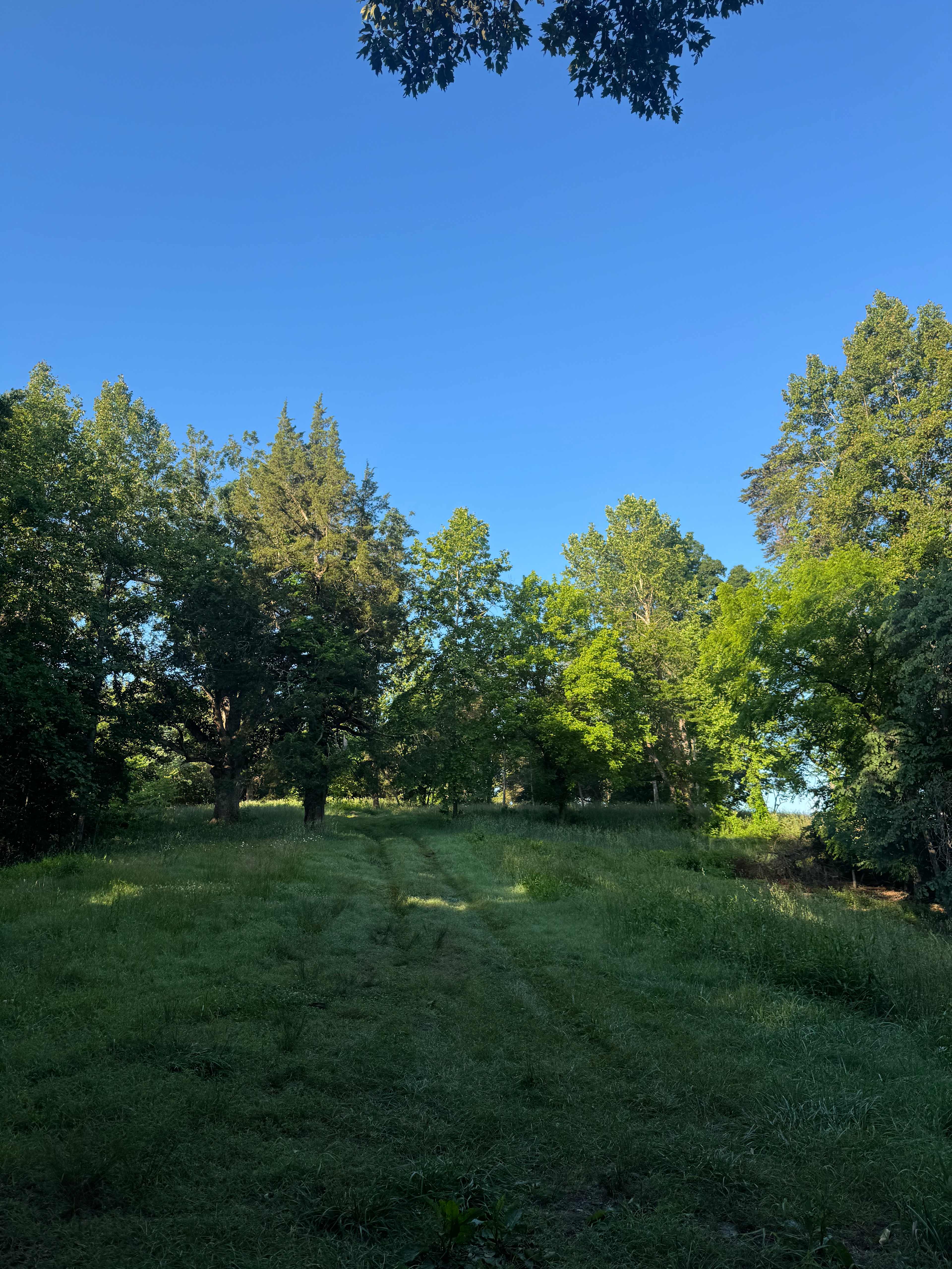 Private Farm Minutes to Cville