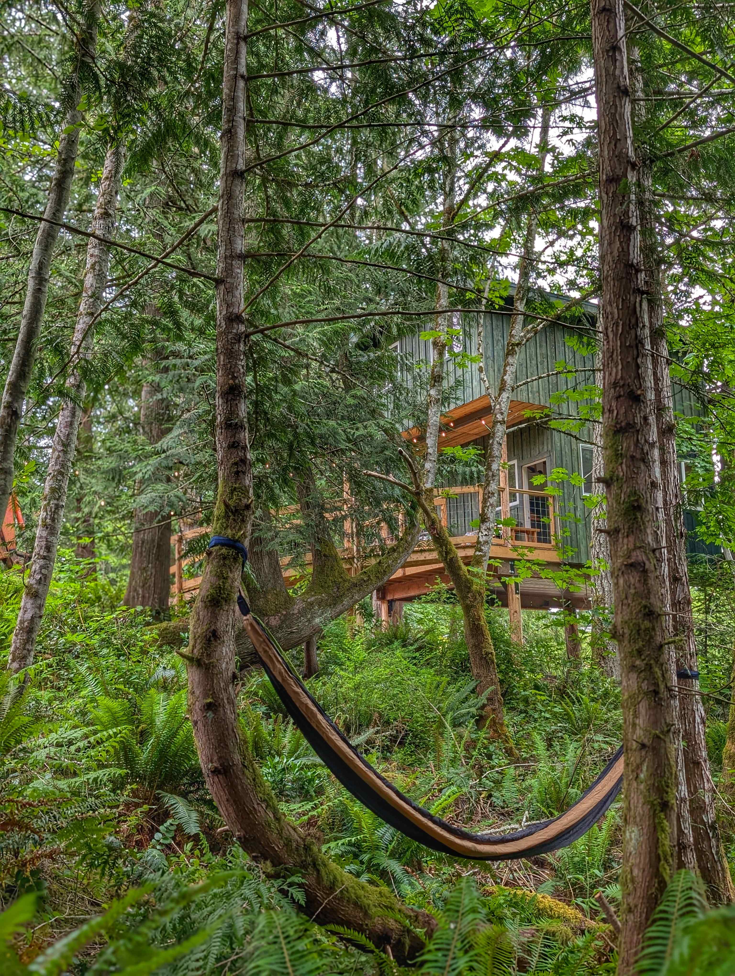 Maple Haven Treehouse