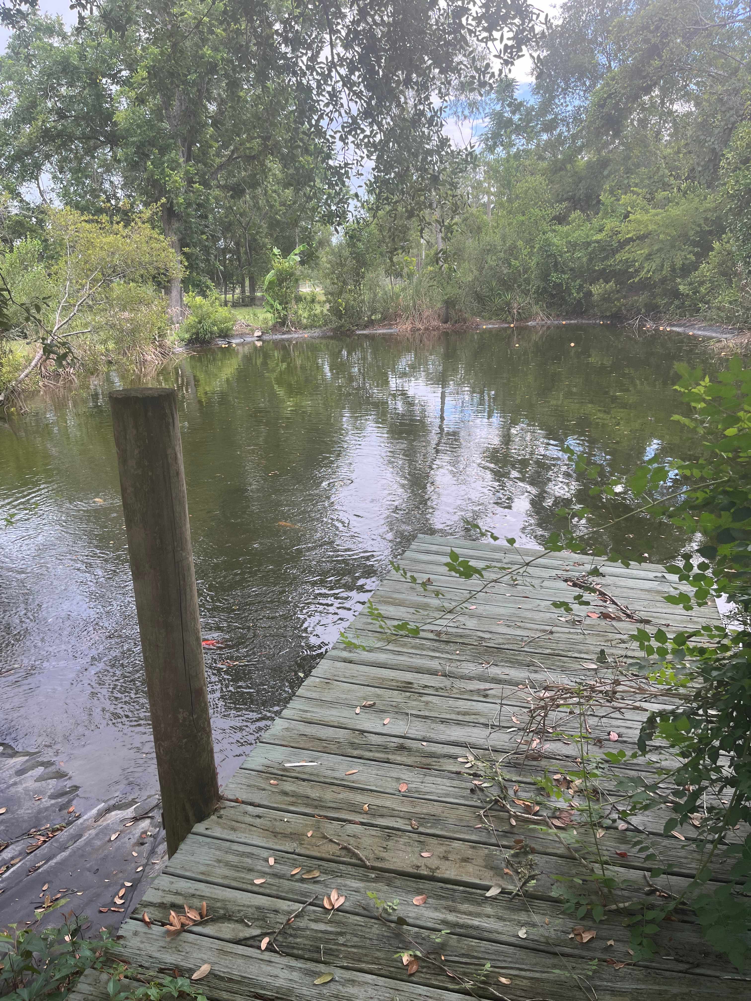 Froggy Bottom Farm