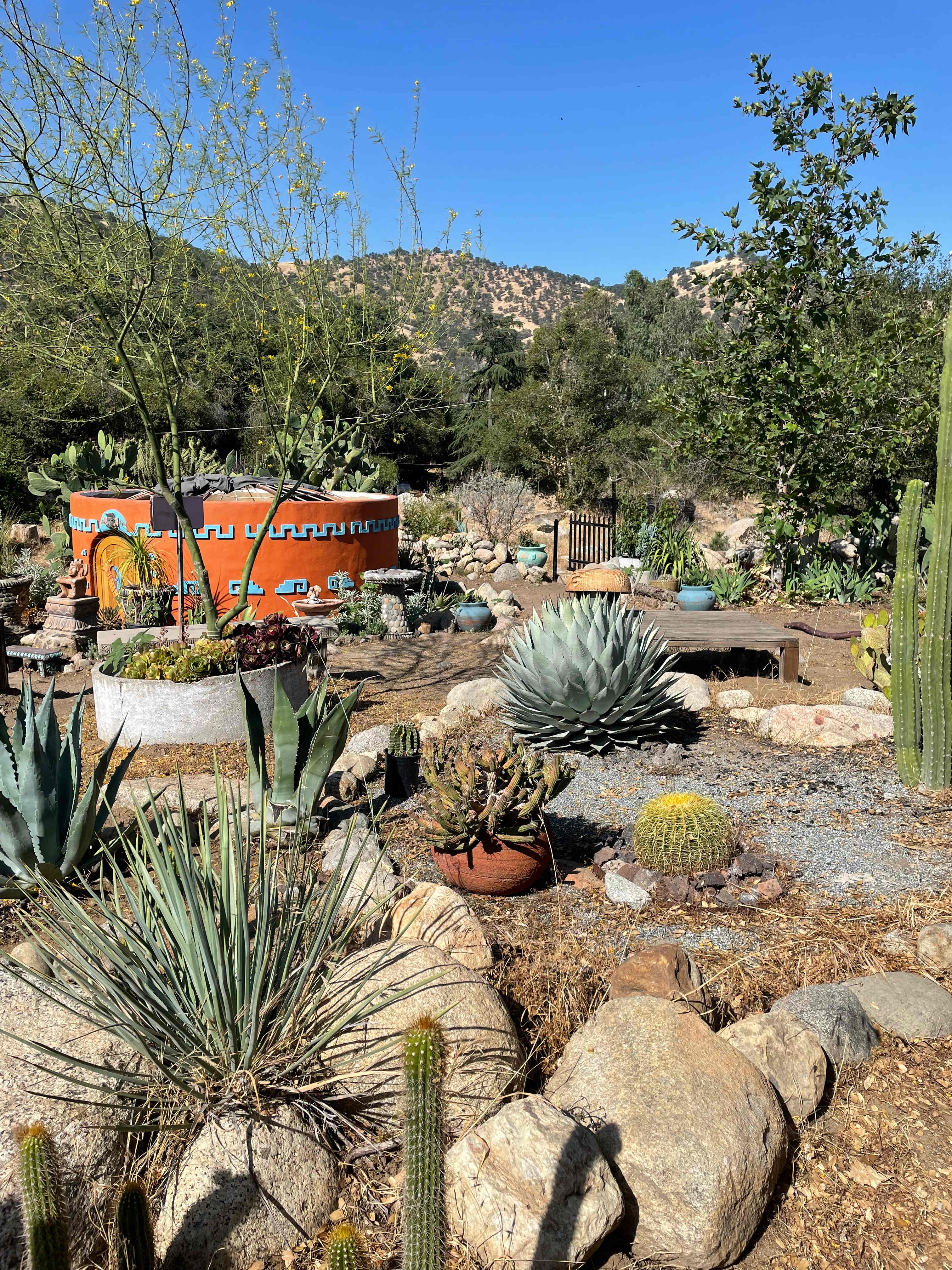 Near campsite 