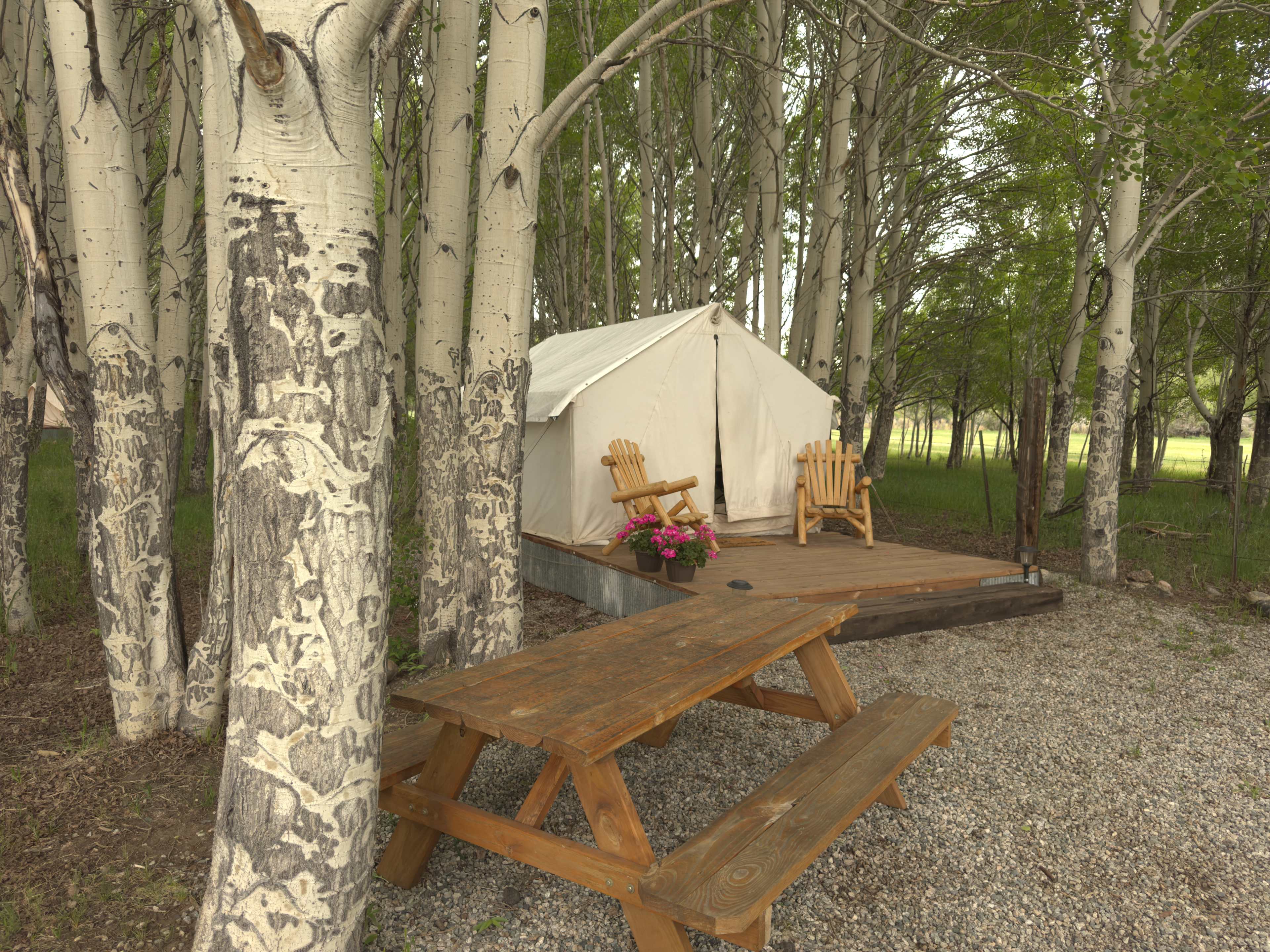 Our tent