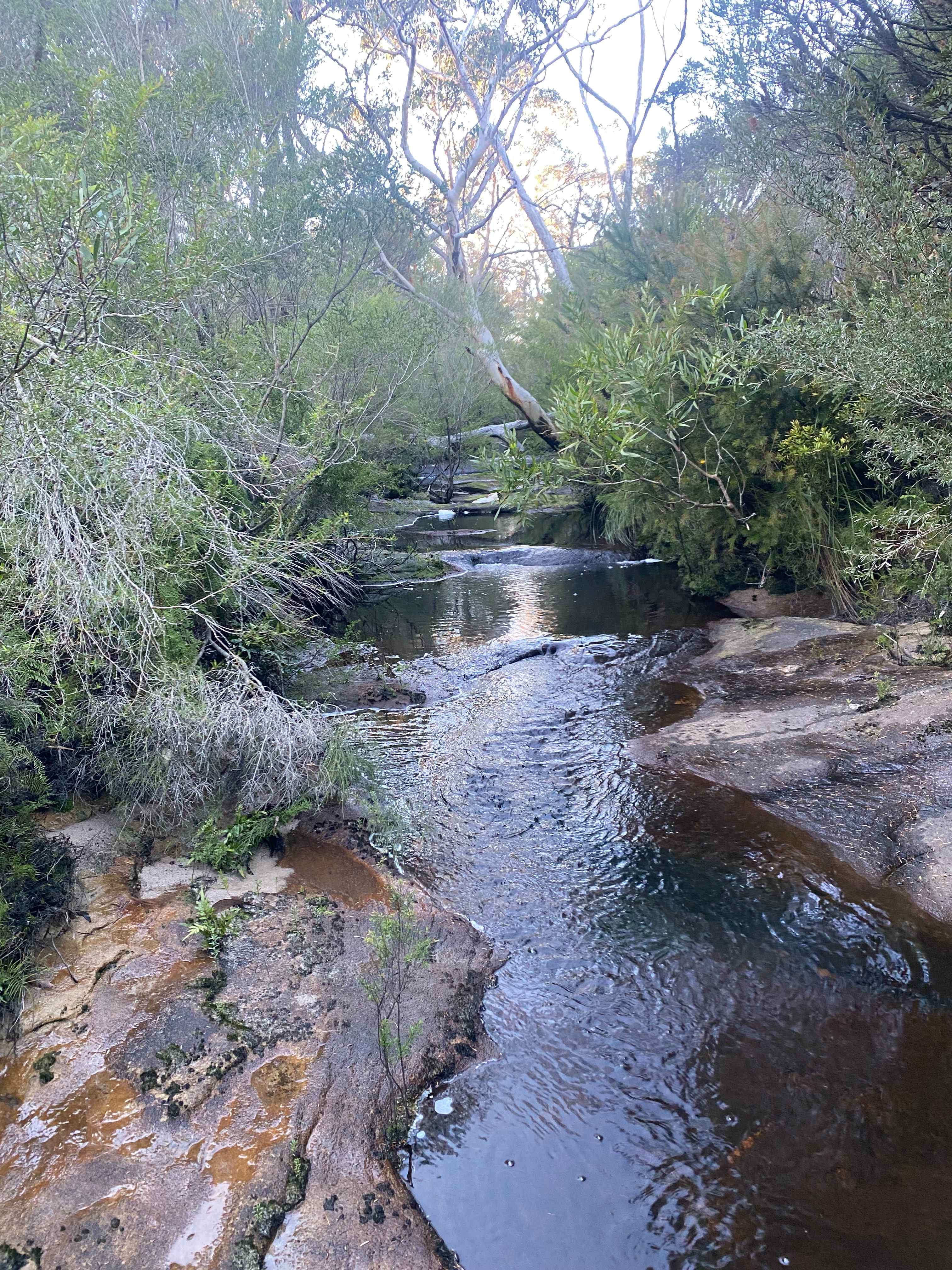 Creek!