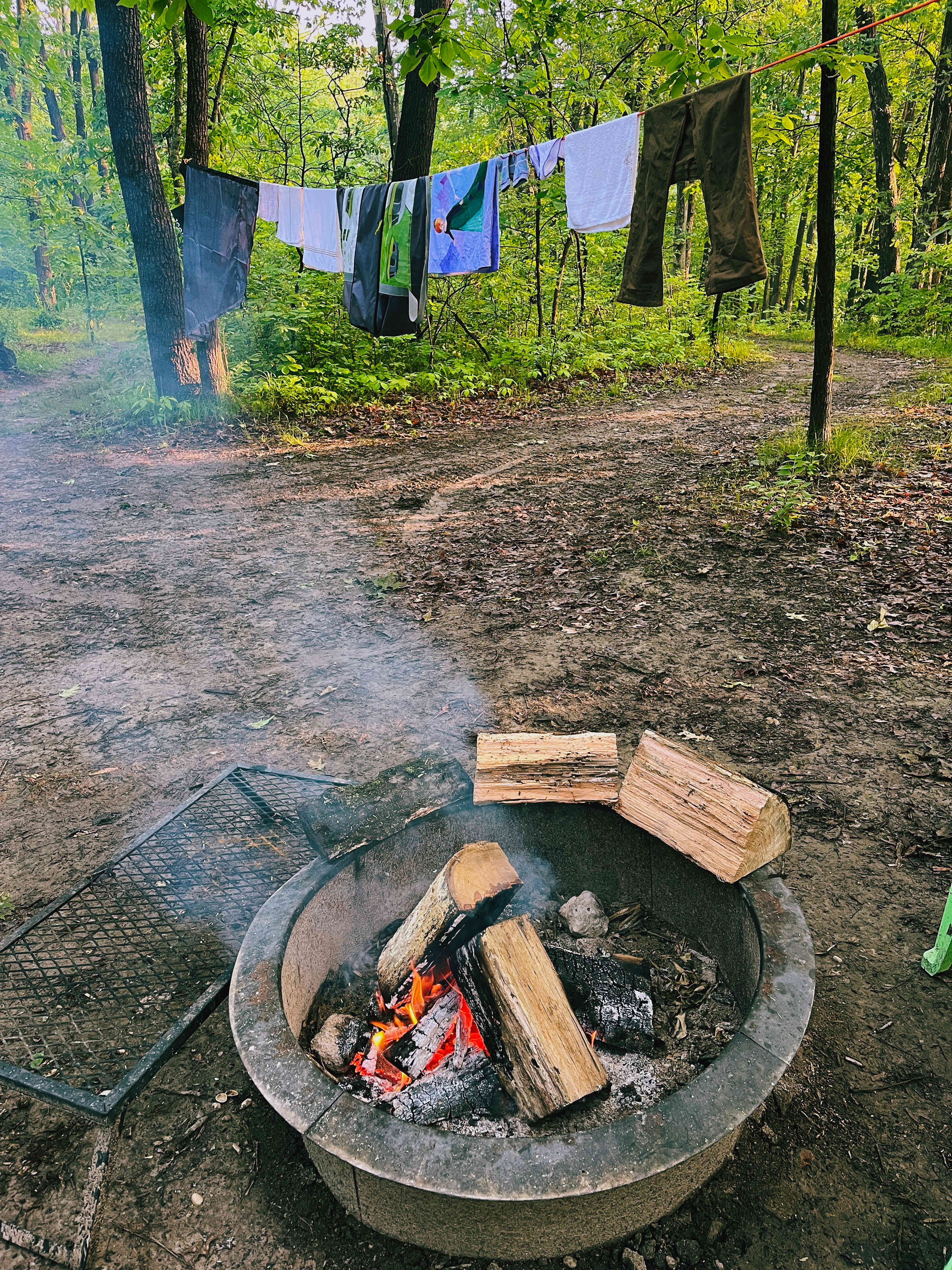 Welcome to our Magical Woods