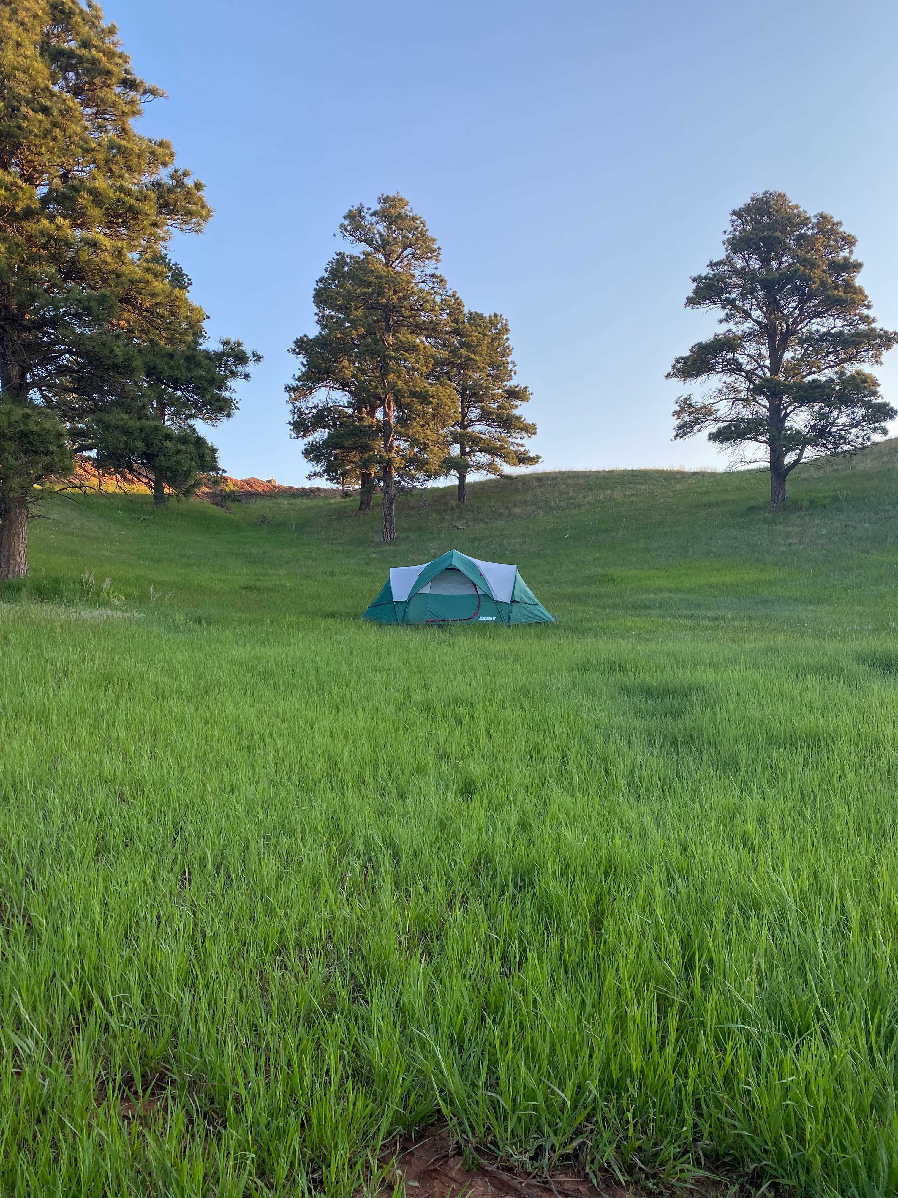 Bearlodge Mountain Resort